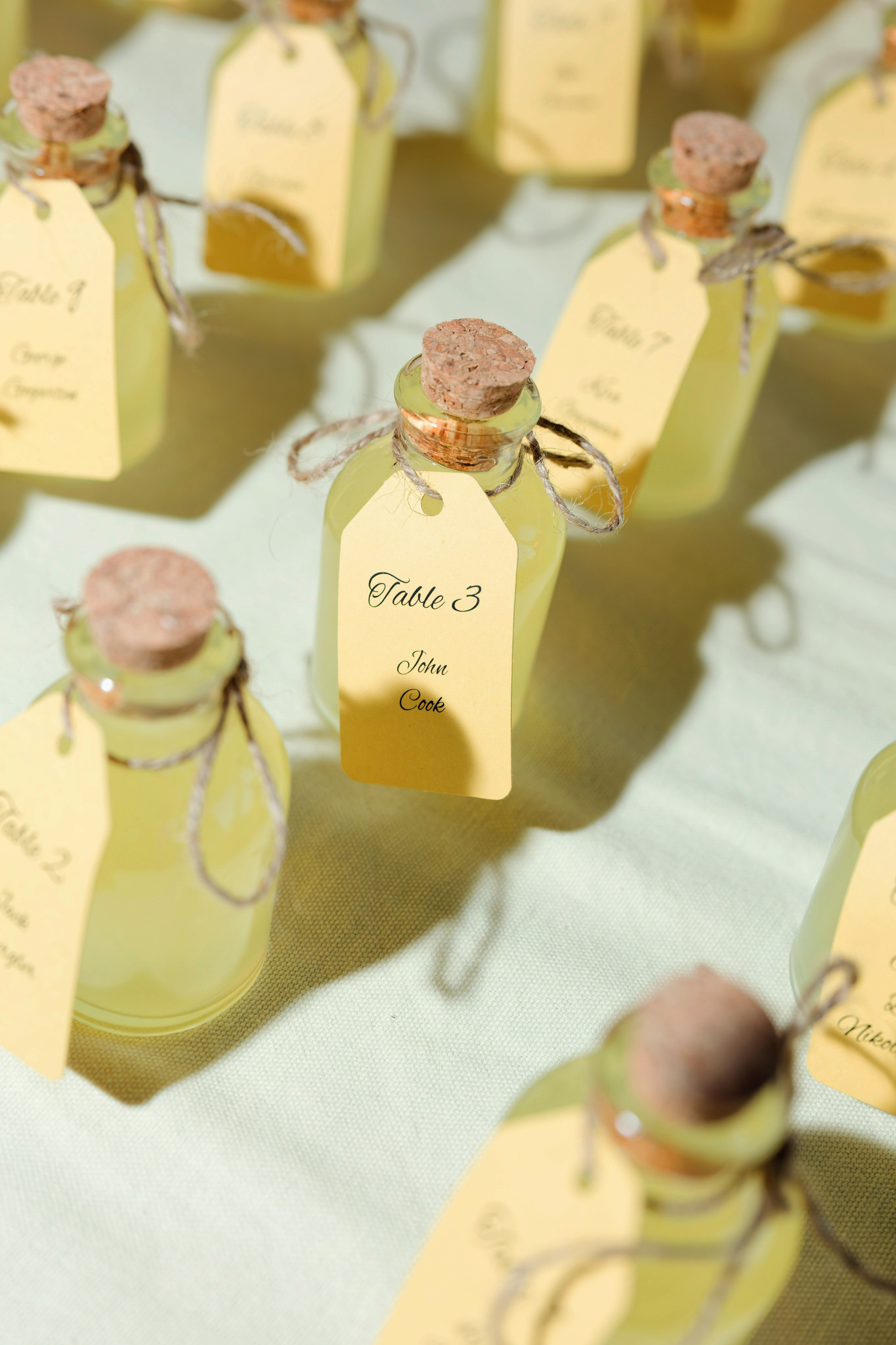 Wedding at Villa Bettoni on Lake Garda