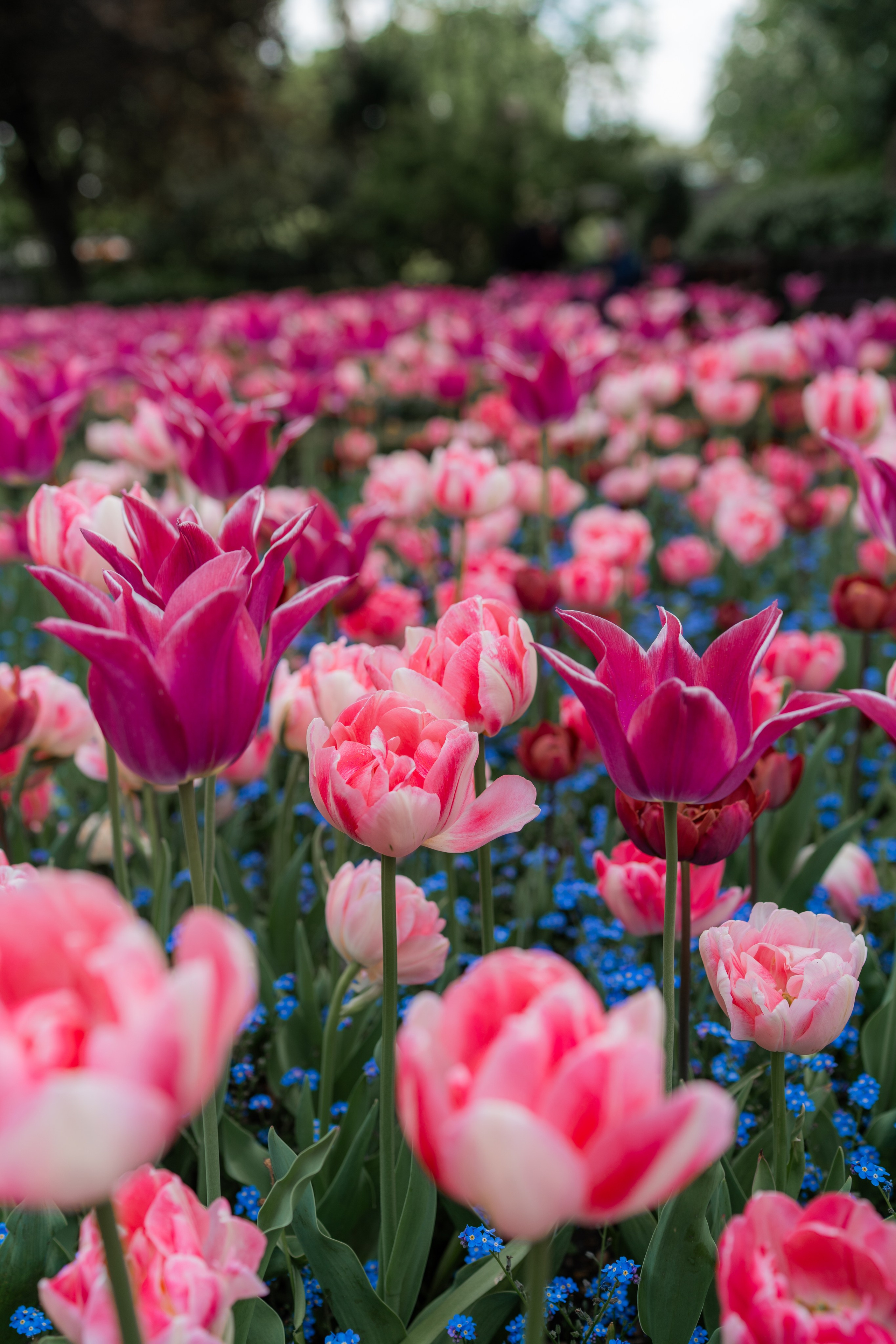 Hysteria. Tonya Kyrylenko photographer in London