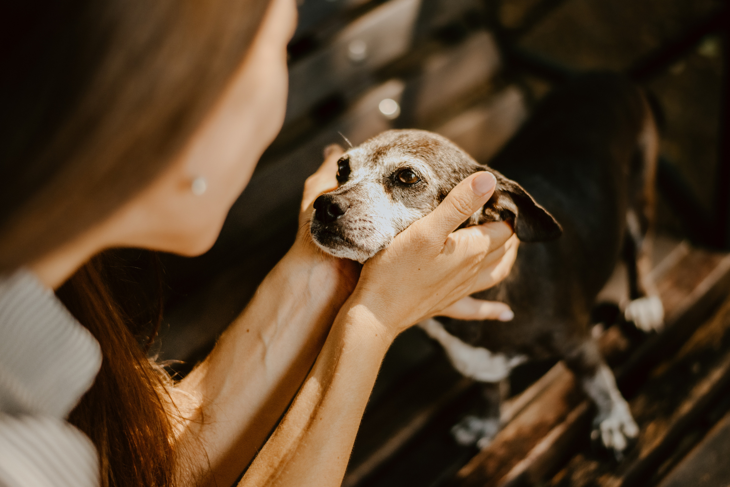 Rhiannon and Sasha. Lifestyle, wedding and family photographer