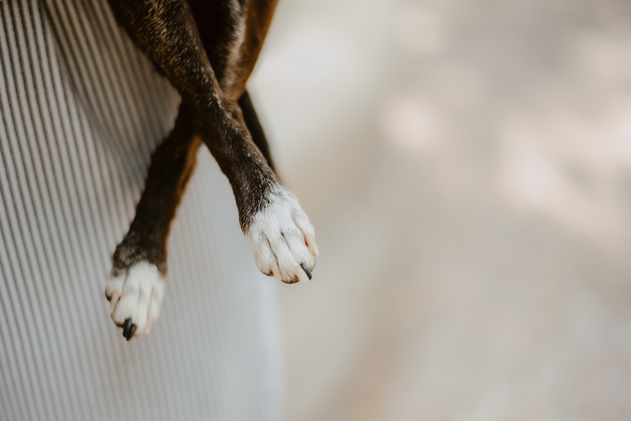 Rhiannon and Sasha. Lifestyle, wedding and family photographer