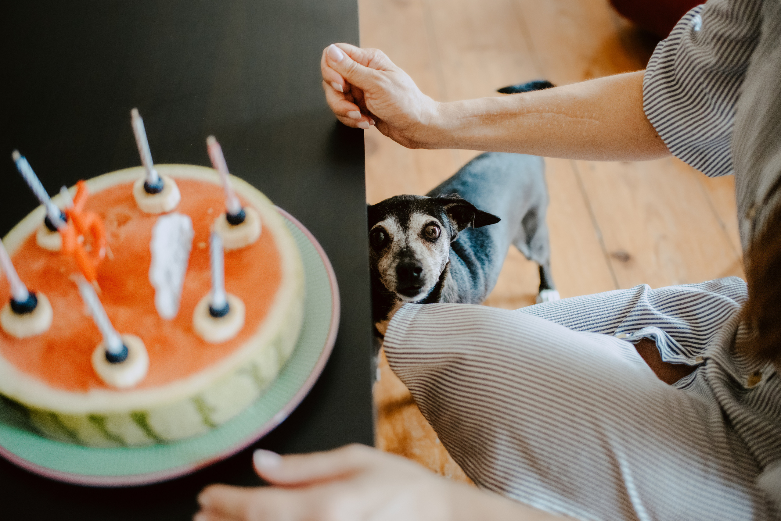 Rhiannon and Sasha. Lifestyle, wedding and family photographer