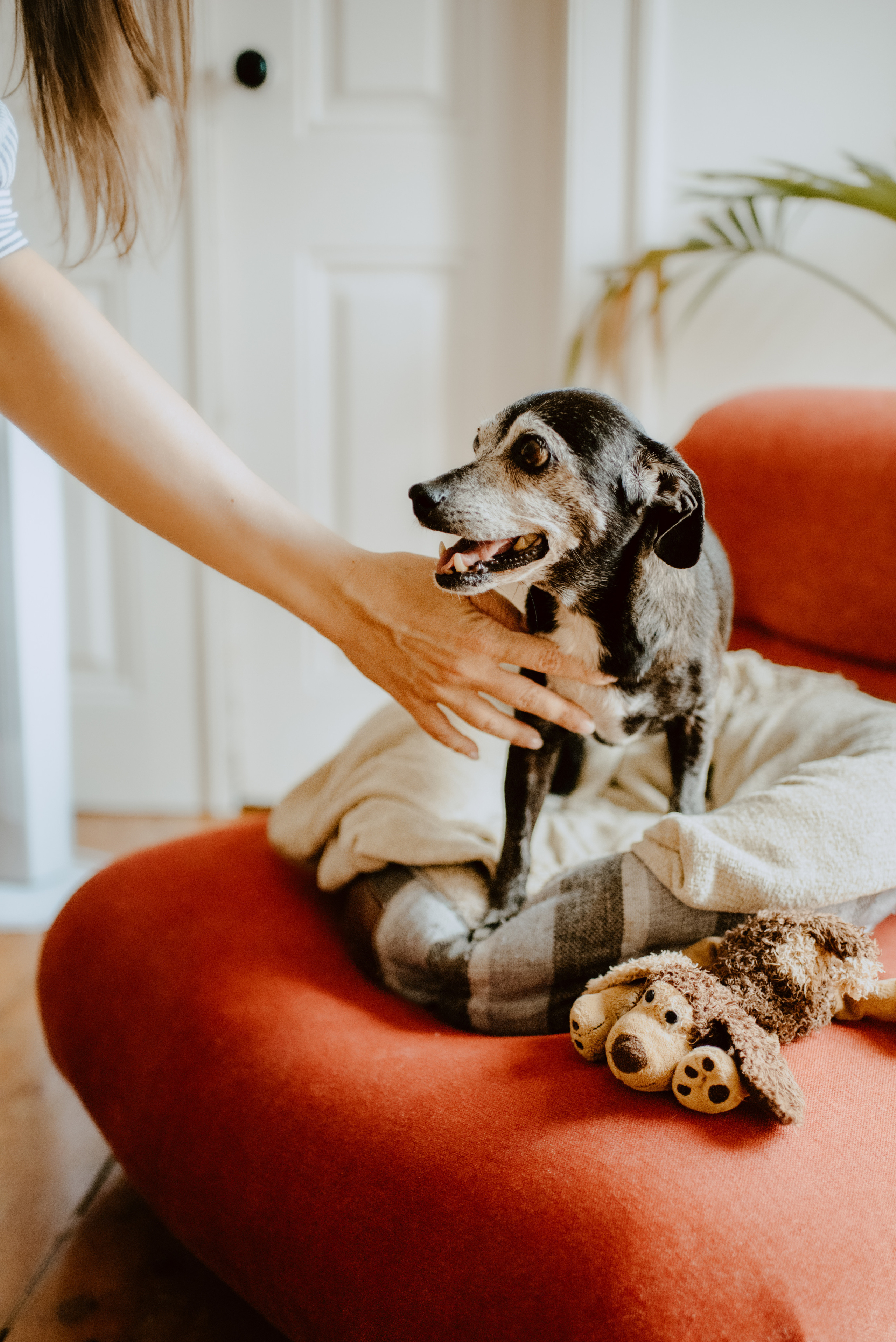 Rhiannon and Sasha. Lifestyle, wedding and family photographer