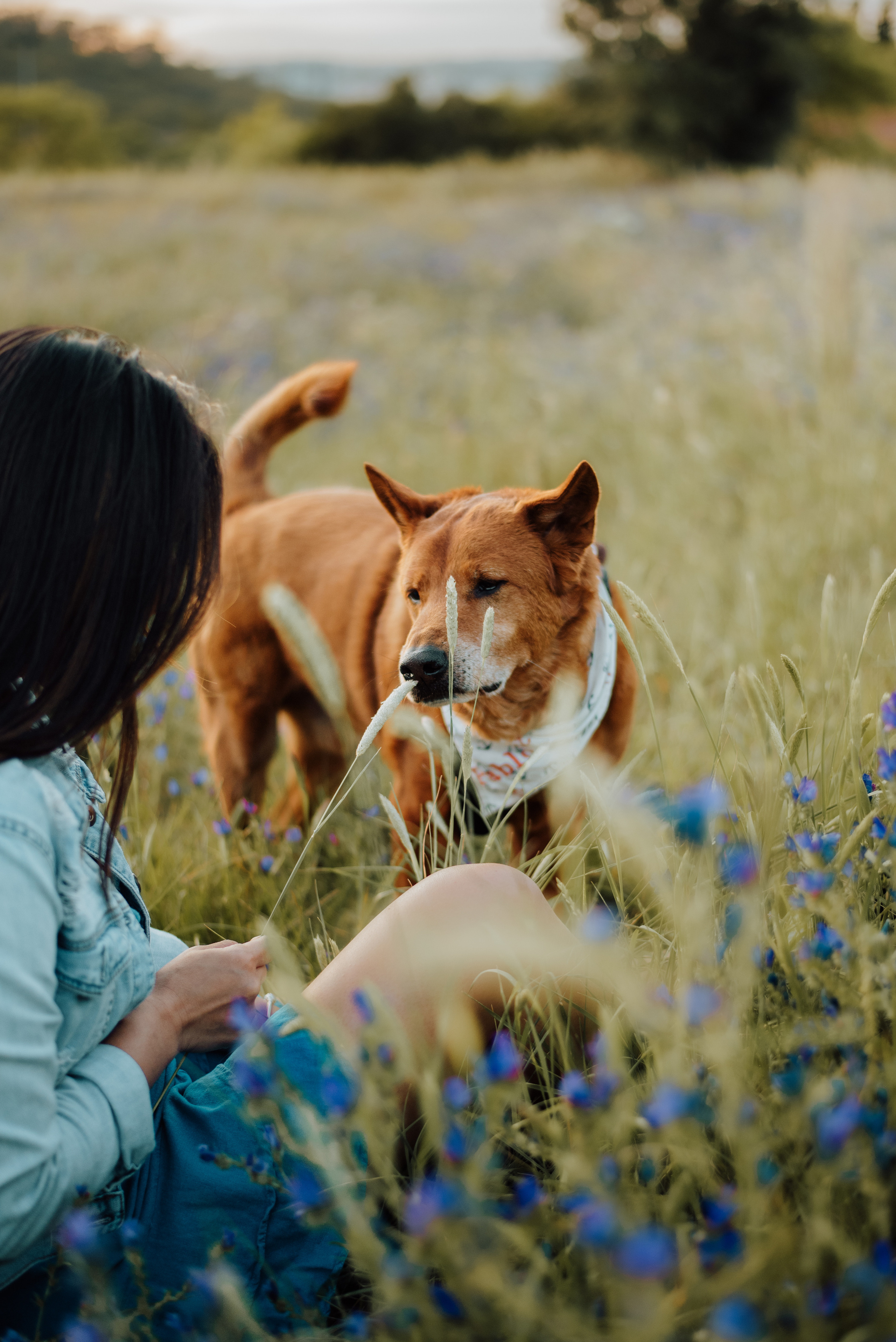 Nali and Pedro. Lifestyle, wedding and family photographer