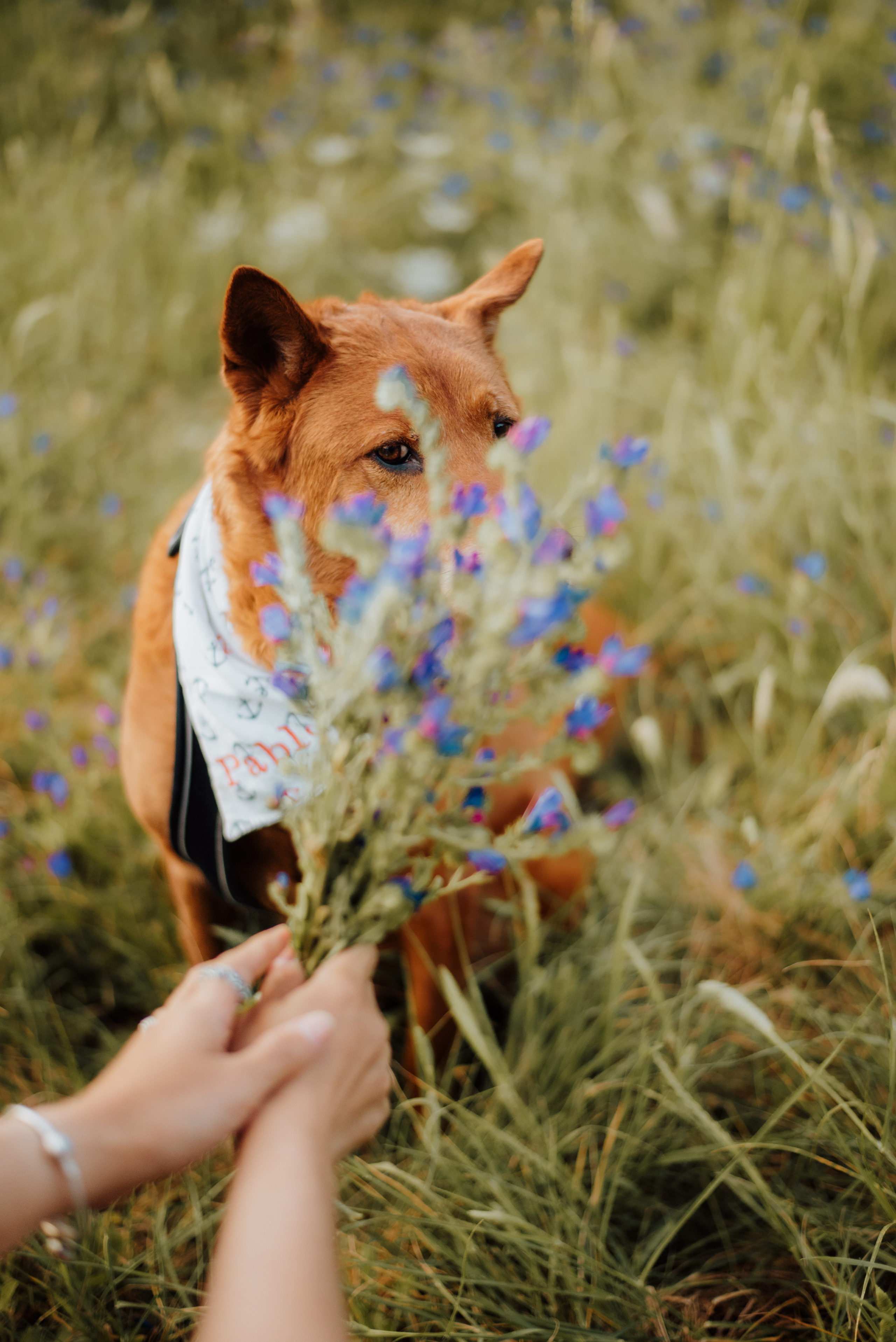 Nali and Pedro. Lifestyle, wedding and family photographer