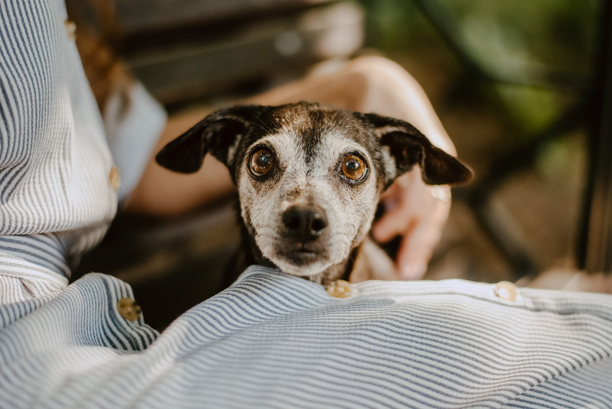 Rhiannon and Sasha. Lifestyle, wedding and family photographer