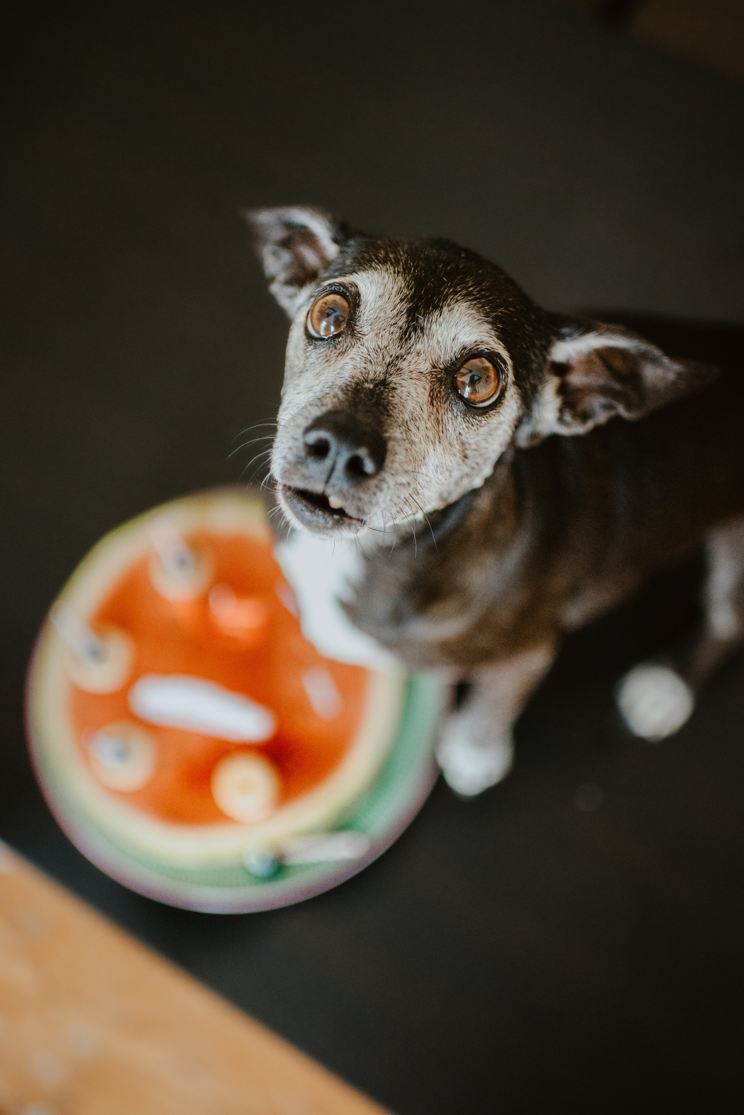 Rhiannon and Sasha. Lifestyle, wedding and family photographer