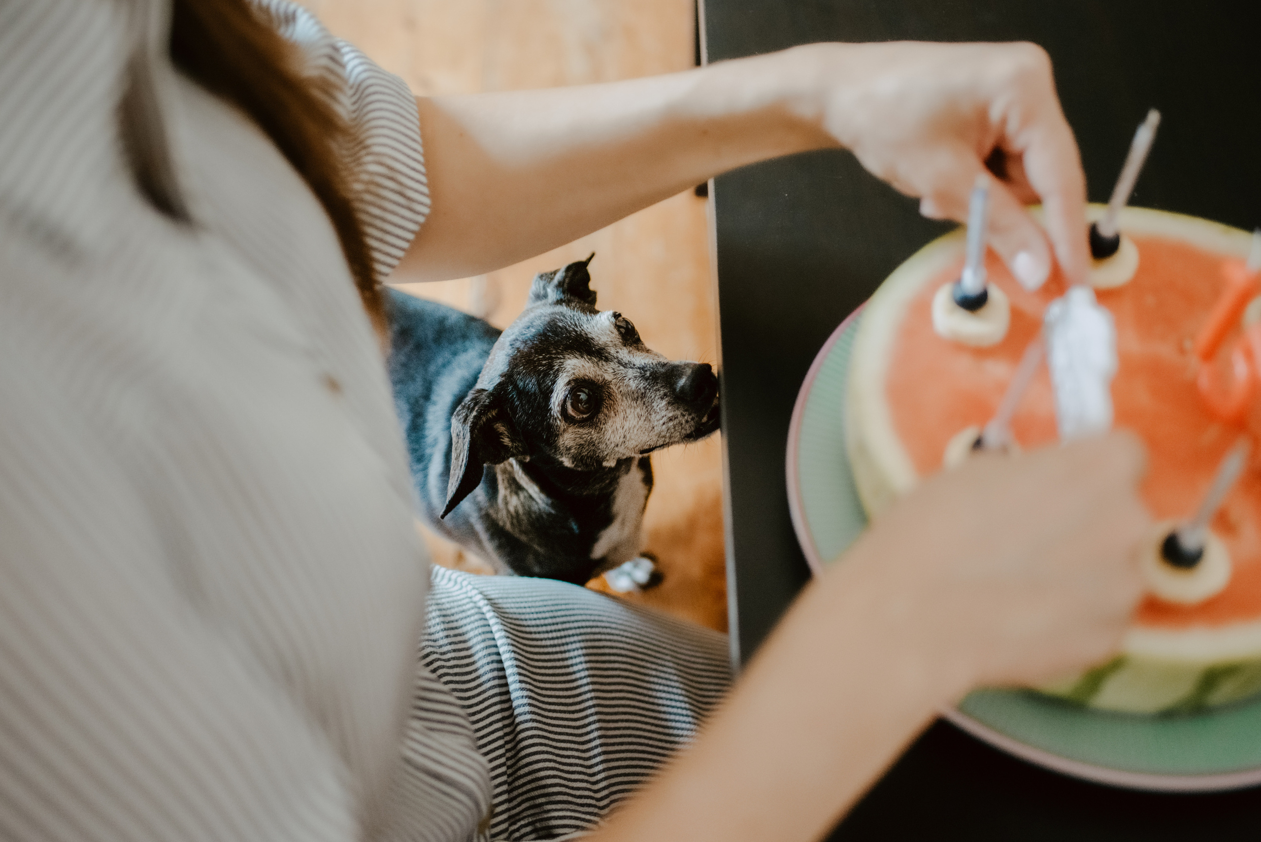 Rhiannon and Sasha. Lifestyle, wedding and family photographer