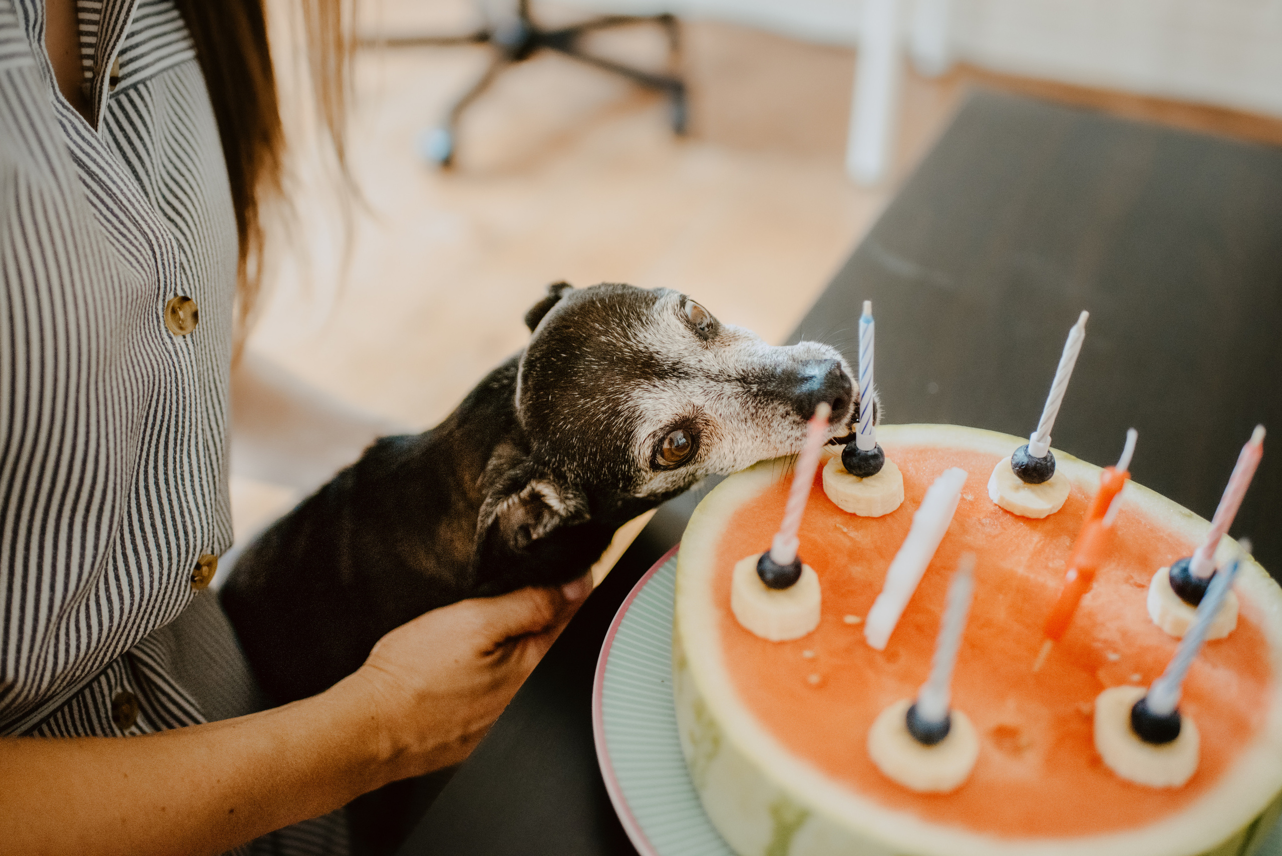 Rhiannon and Sasha. Lifestyle, wedding and family photographer