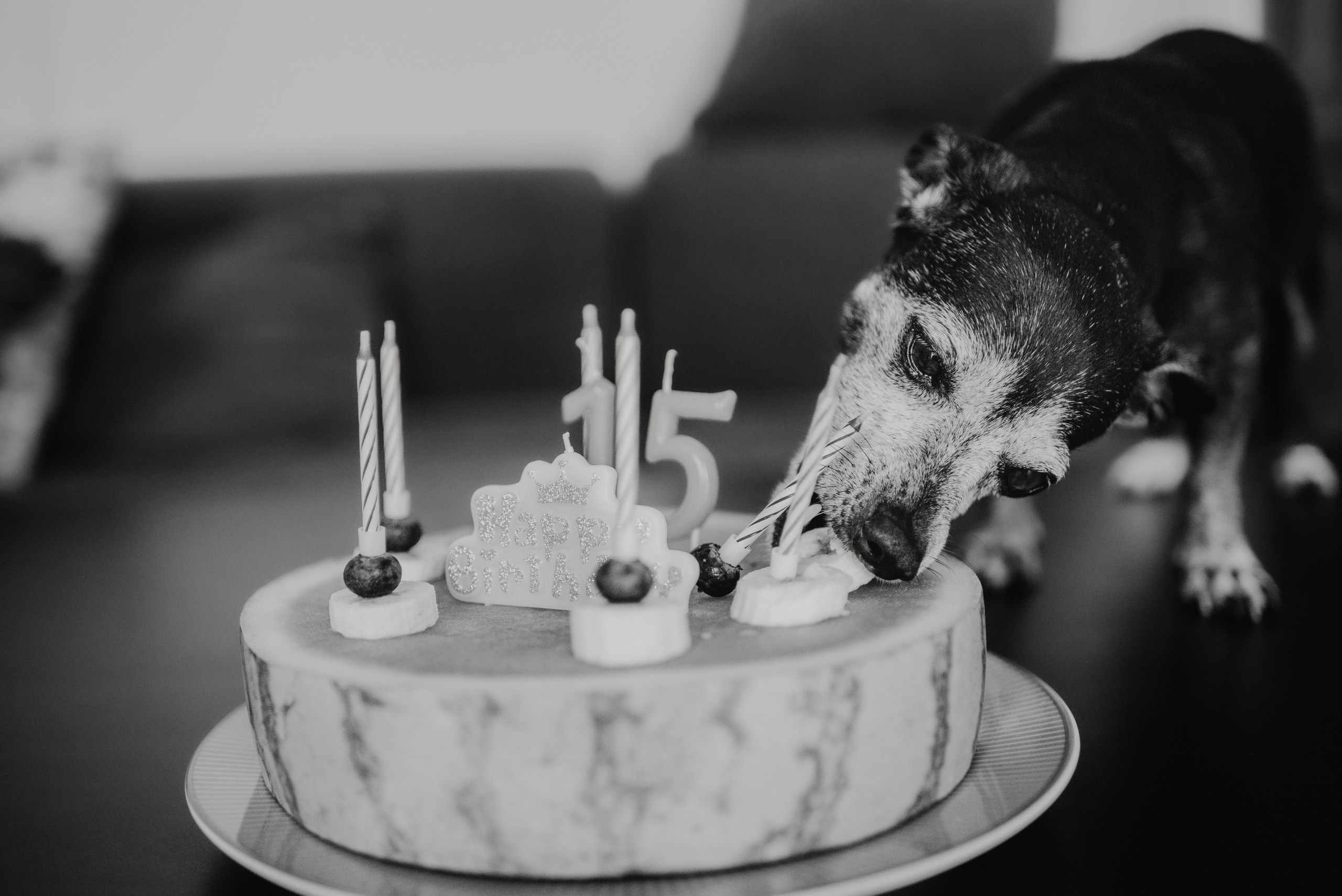 Rhiannon and Sasha. Lifestyle, wedding and family photographer