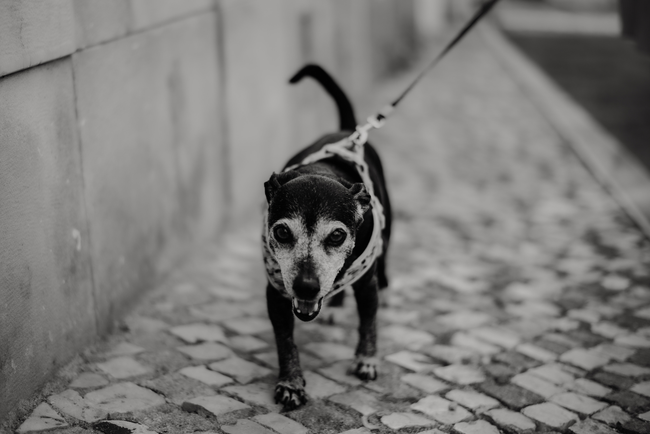 Rhiannon and Sasha. Lifestyle, wedding and family photographer