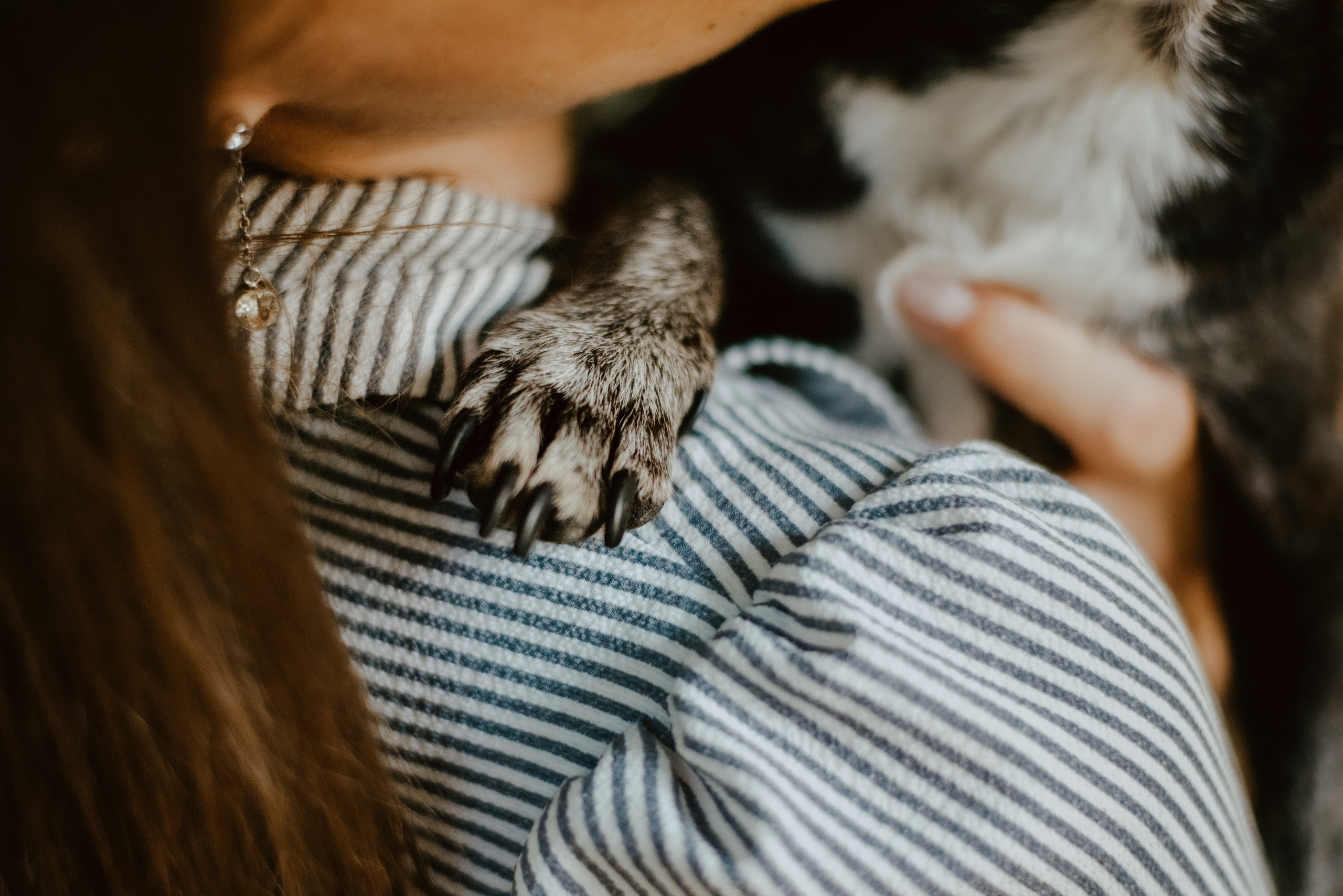 Rhiannon and Sasha. Lifestyle, wedding and family photographer