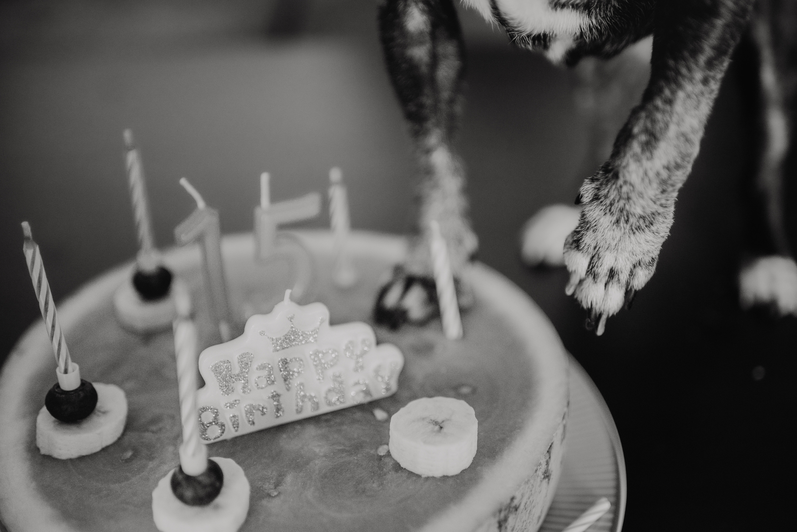 Rhiannon and Sasha. Lifestyle, wedding and family photographer