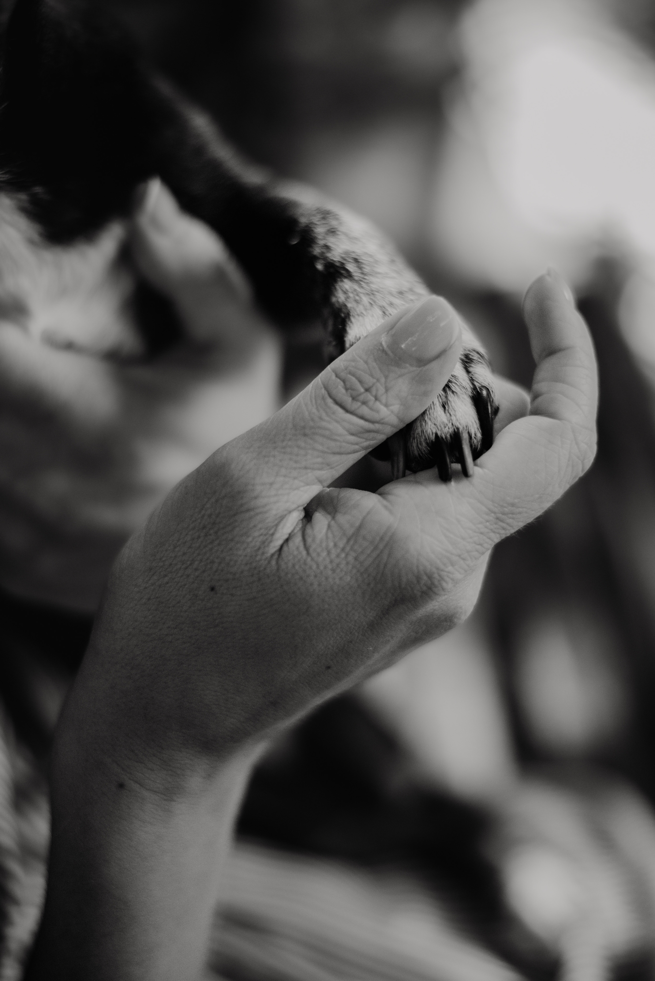 Rhiannon and Sasha. Lifestyle, wedding and family photographer