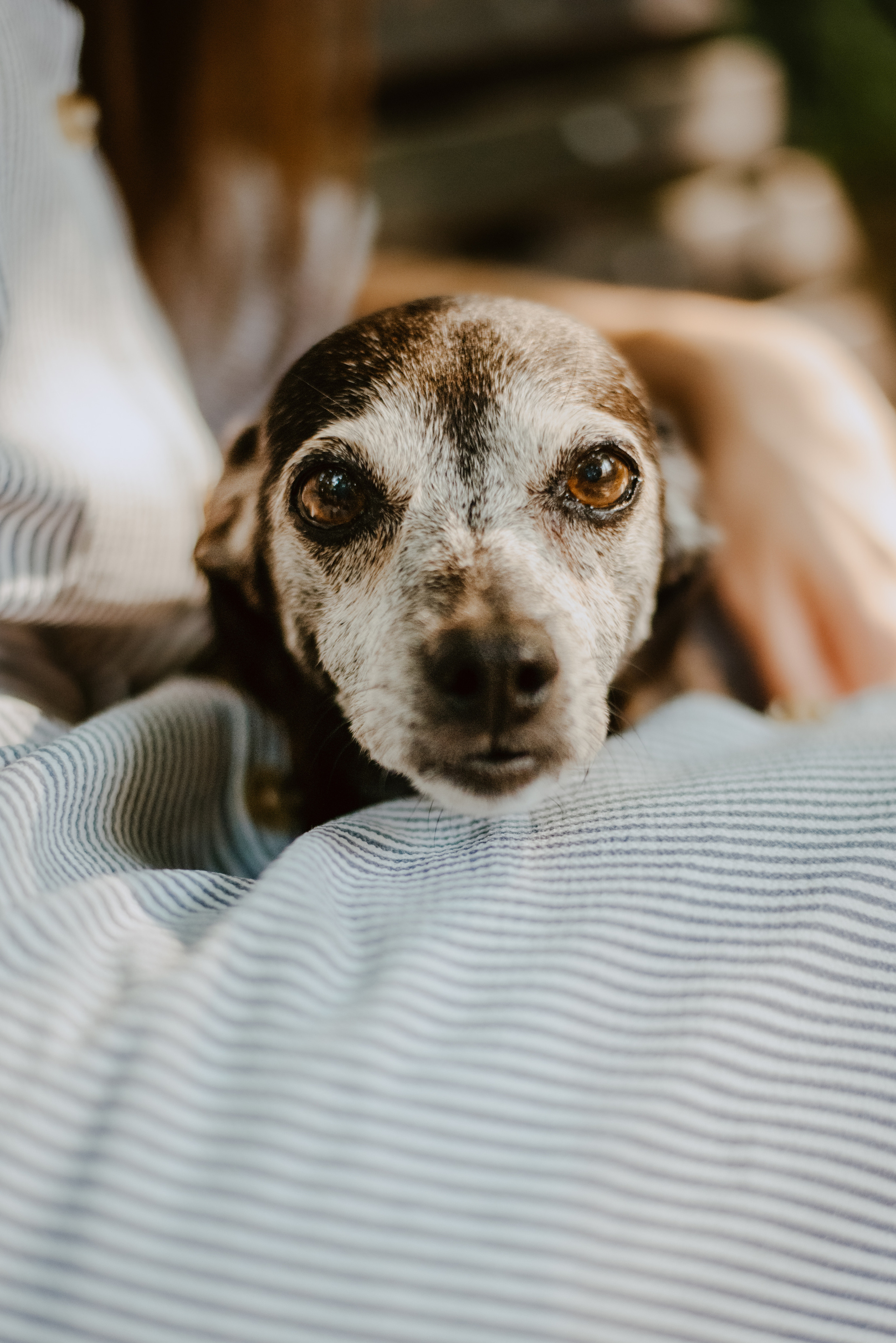 Rhiannon and Sasha. Lifestyle, wedding and family photographer