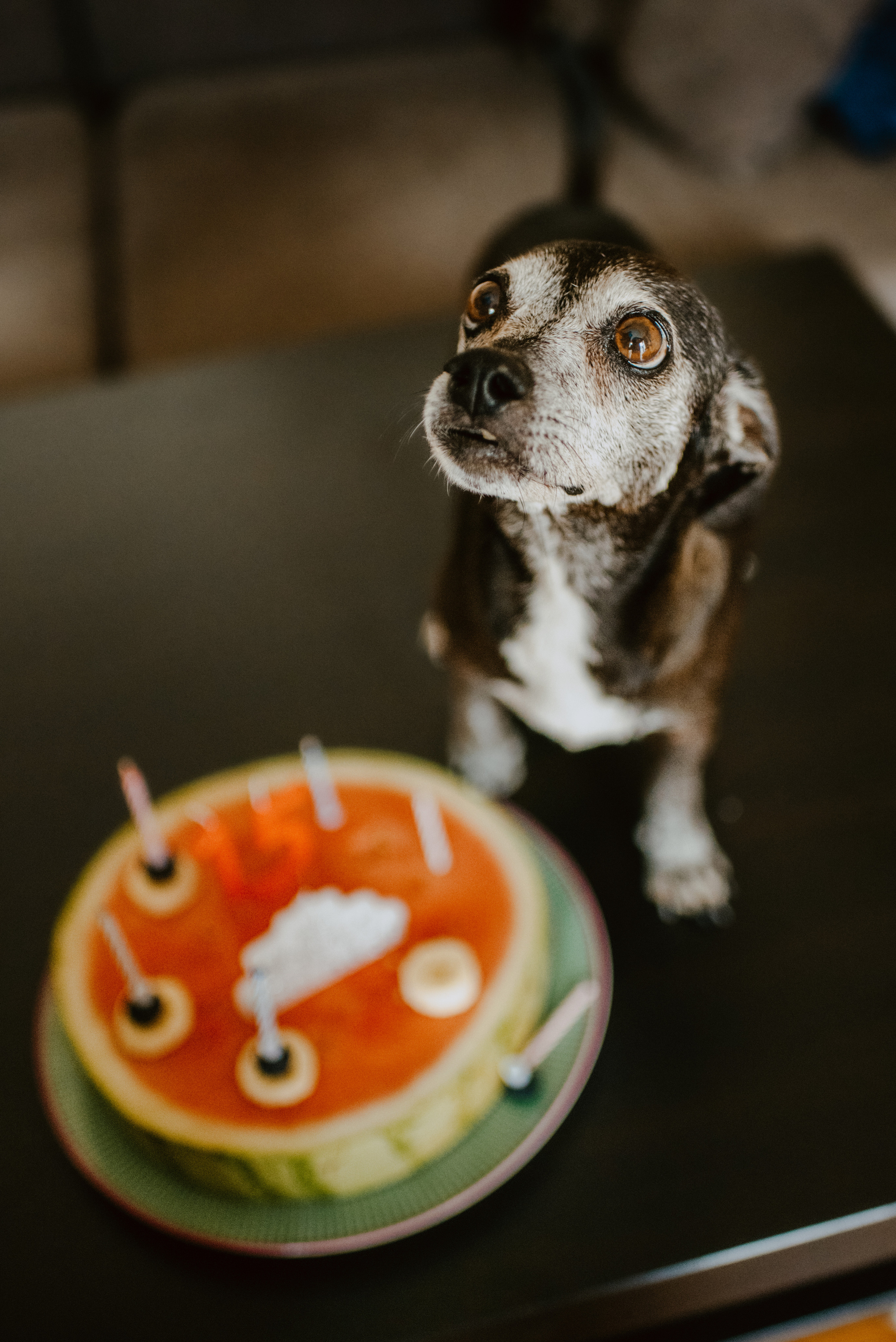 Rhiannon and Sasha. Lifestyle, wedding and family photographer