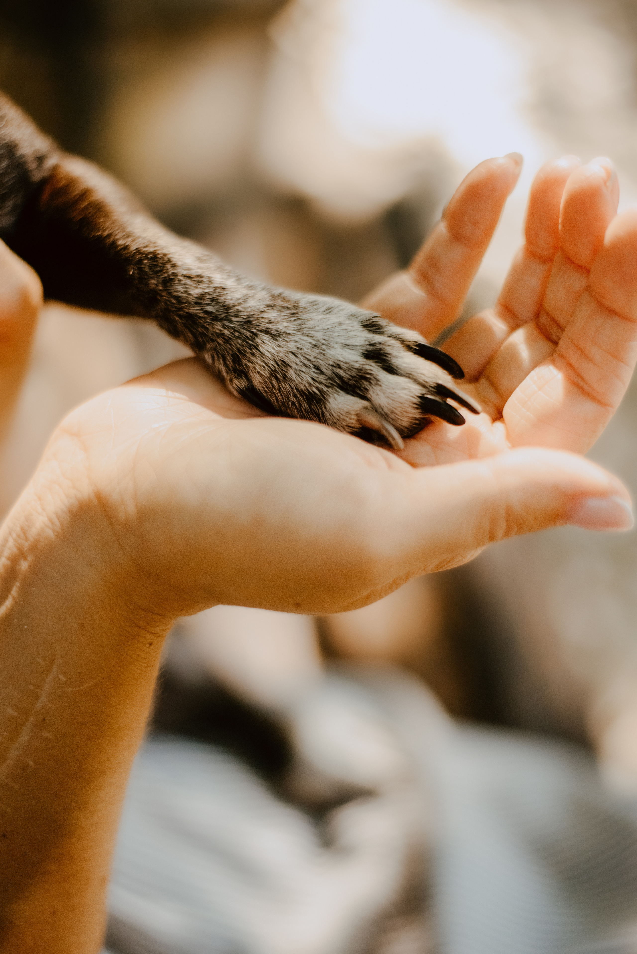 Rhiannon and Sasha. Lifestyle, wedding and family photographer