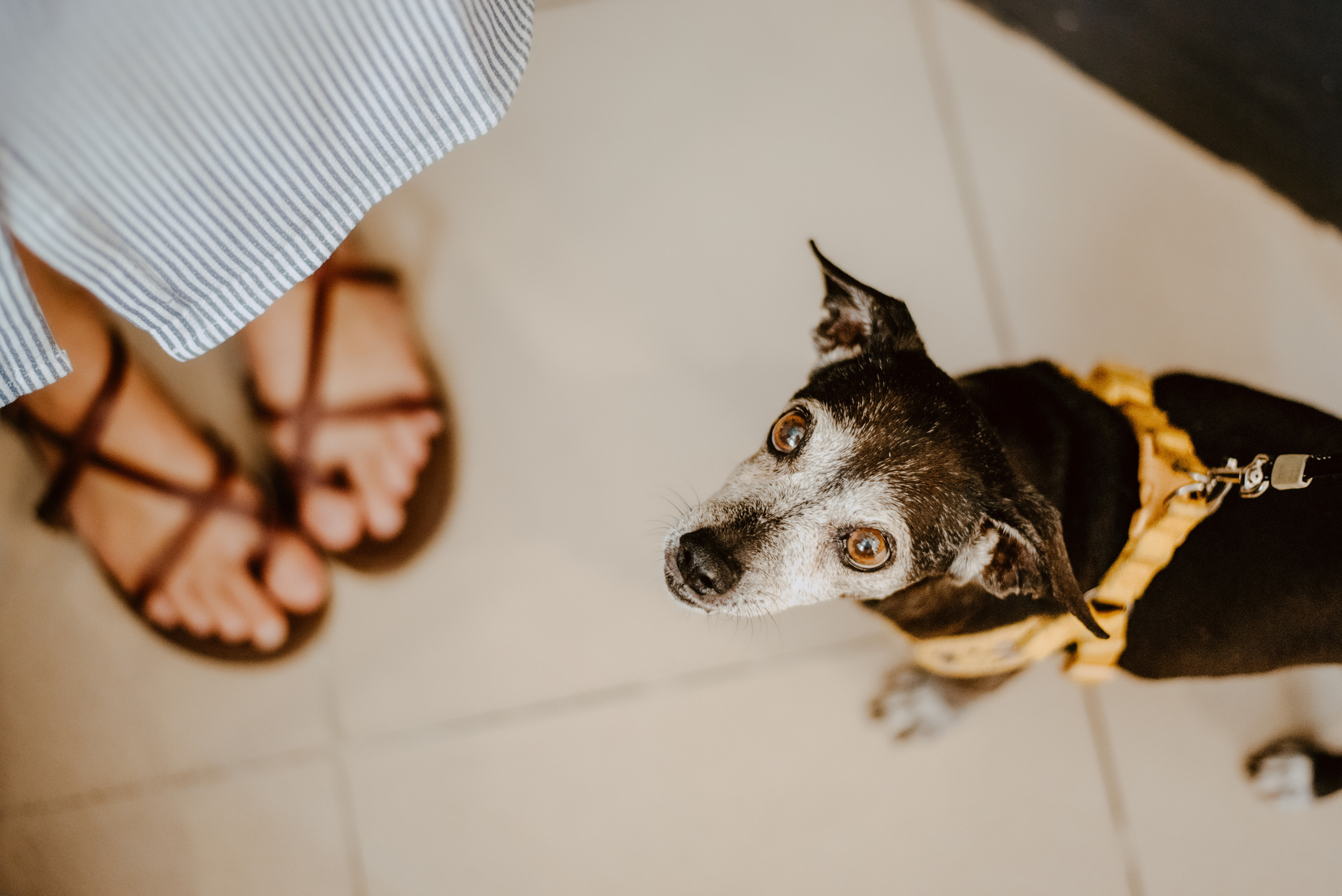 Rhiannon and Sasha. Lifestyle, wedding and family photographer