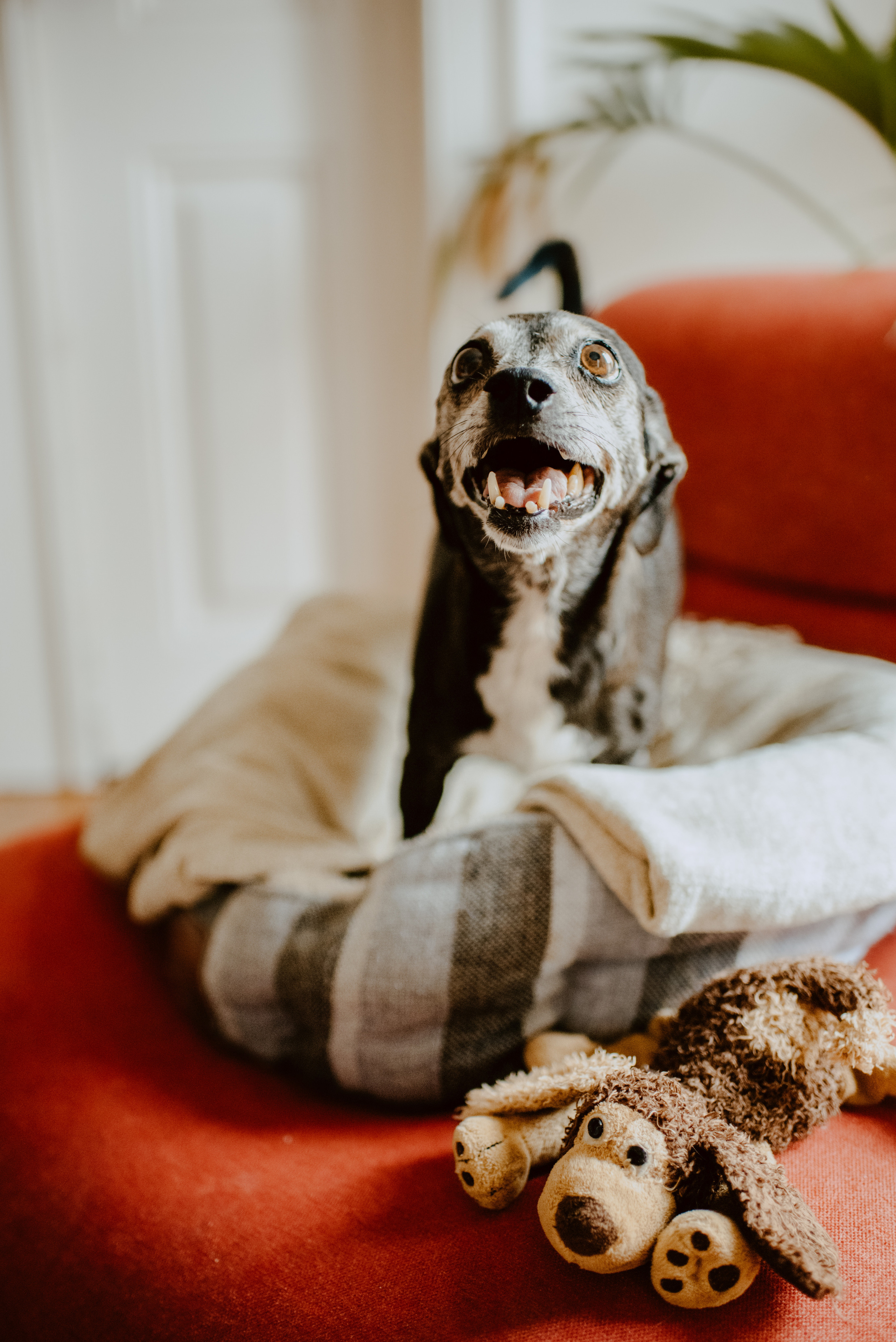 Rhiannon and Sasha. Lifestyle, wedding and family photographer