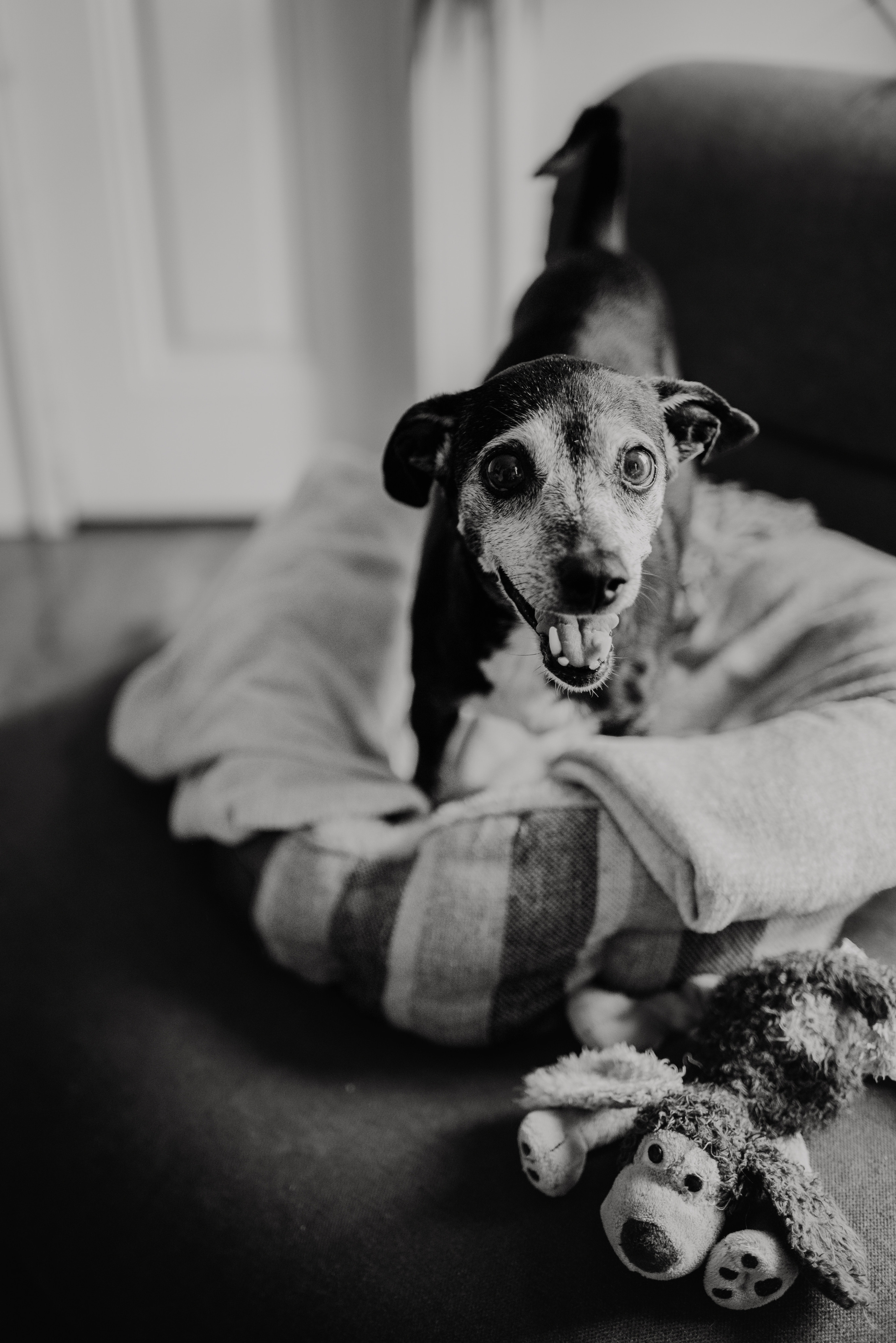 Rhiannon and Sasha. Lifestyle, wedding and family photographer