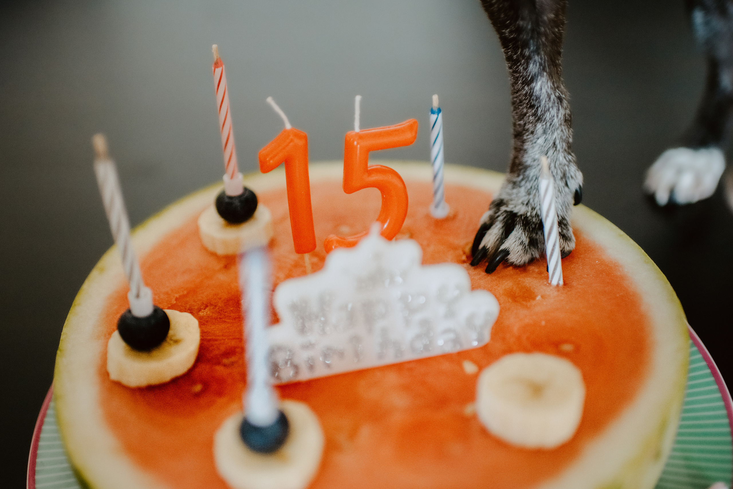 Rhiannon and Sasha. Lifestyle, wedding and family photographer