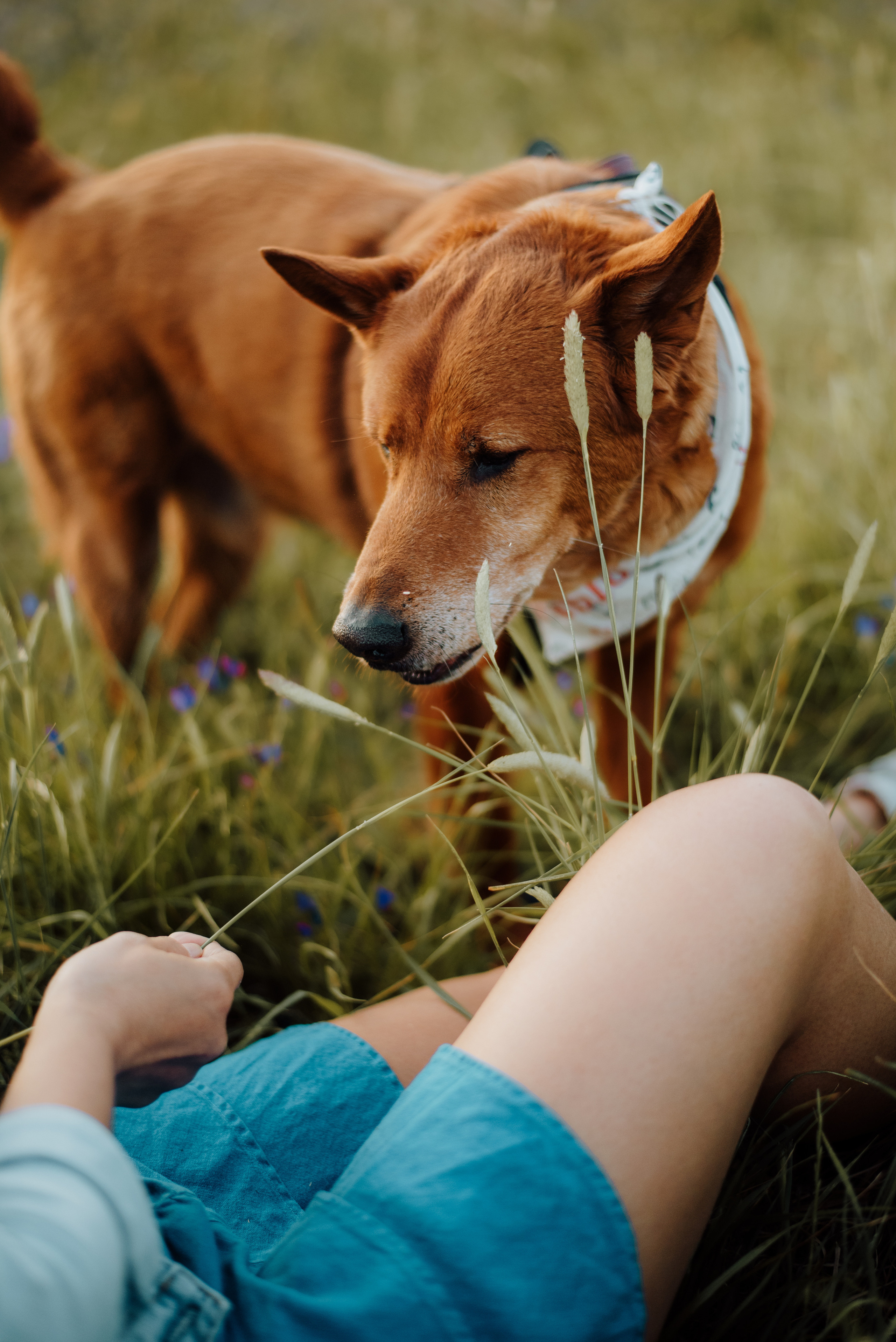 Nali and Pedro. Lifestyle, wedding and family photographer