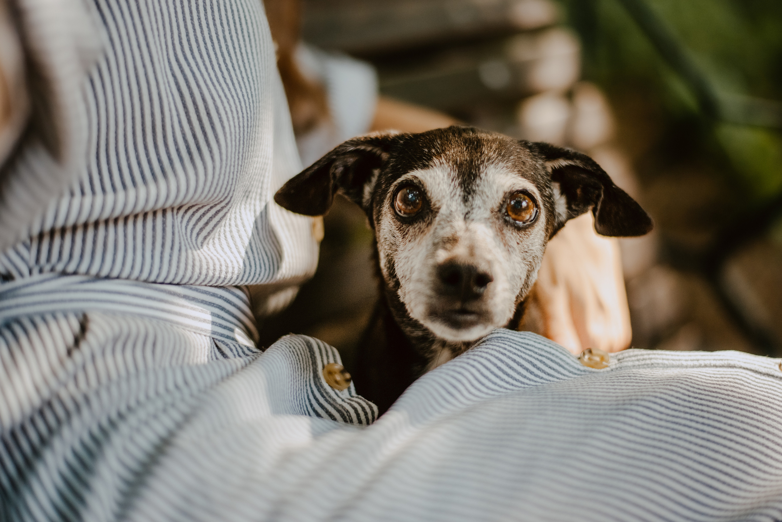 Rhiannon and Sasha. Lifestyle, wedding and family photographer