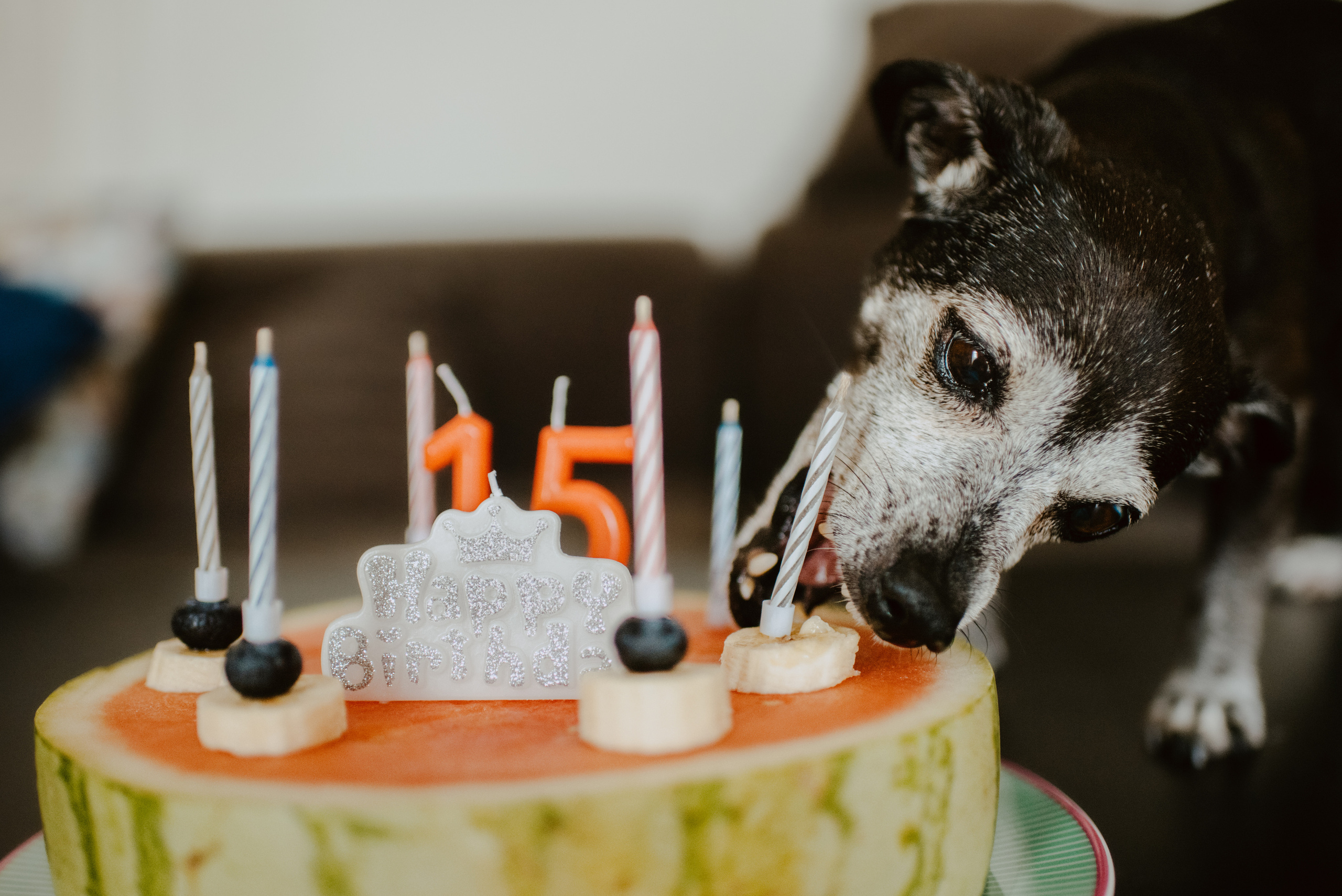 Rhiannon and Sasha. Lifestyle, wedding and family photographer