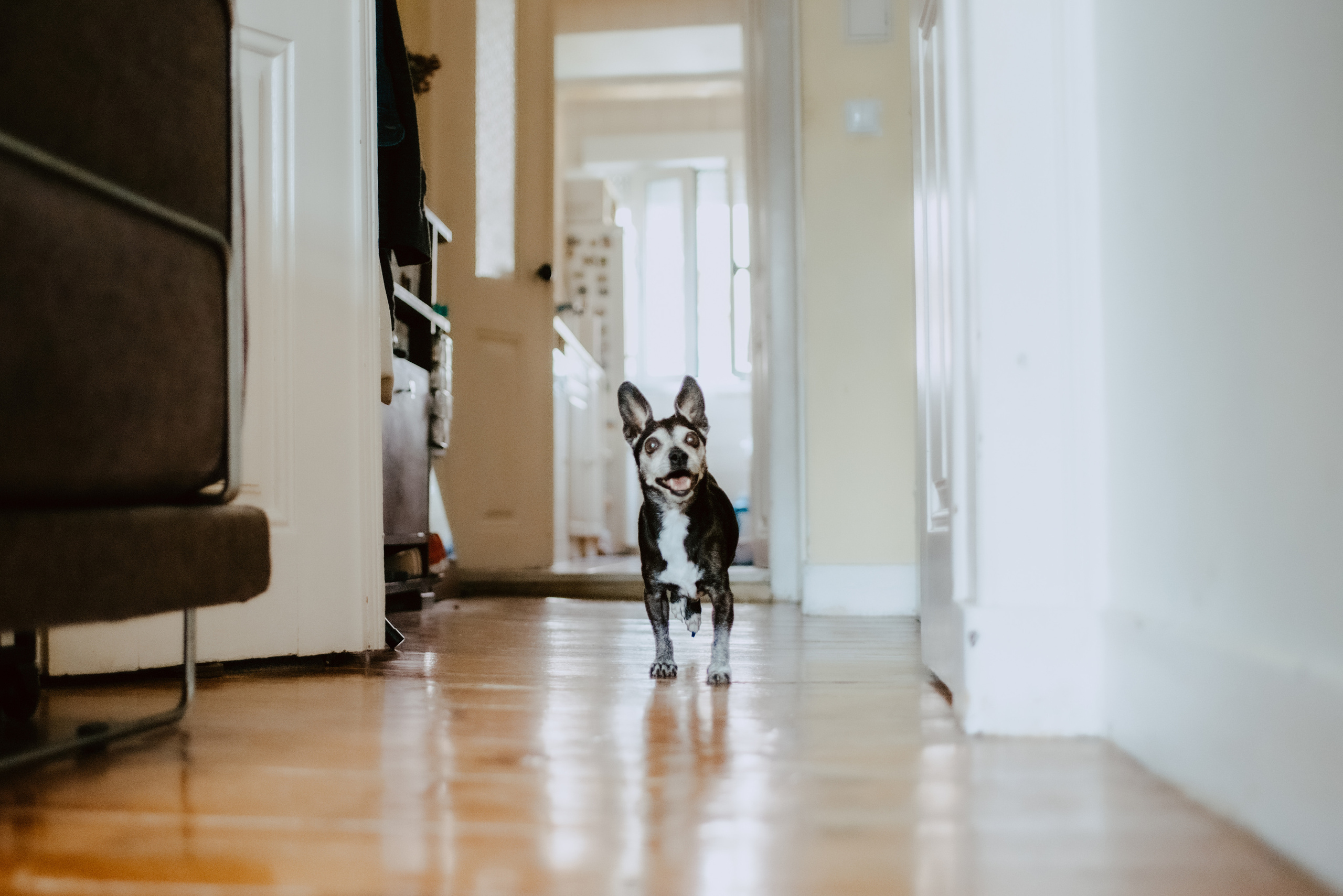 Rhiannon and Sasha. Lifestyle, wedding and family photographer