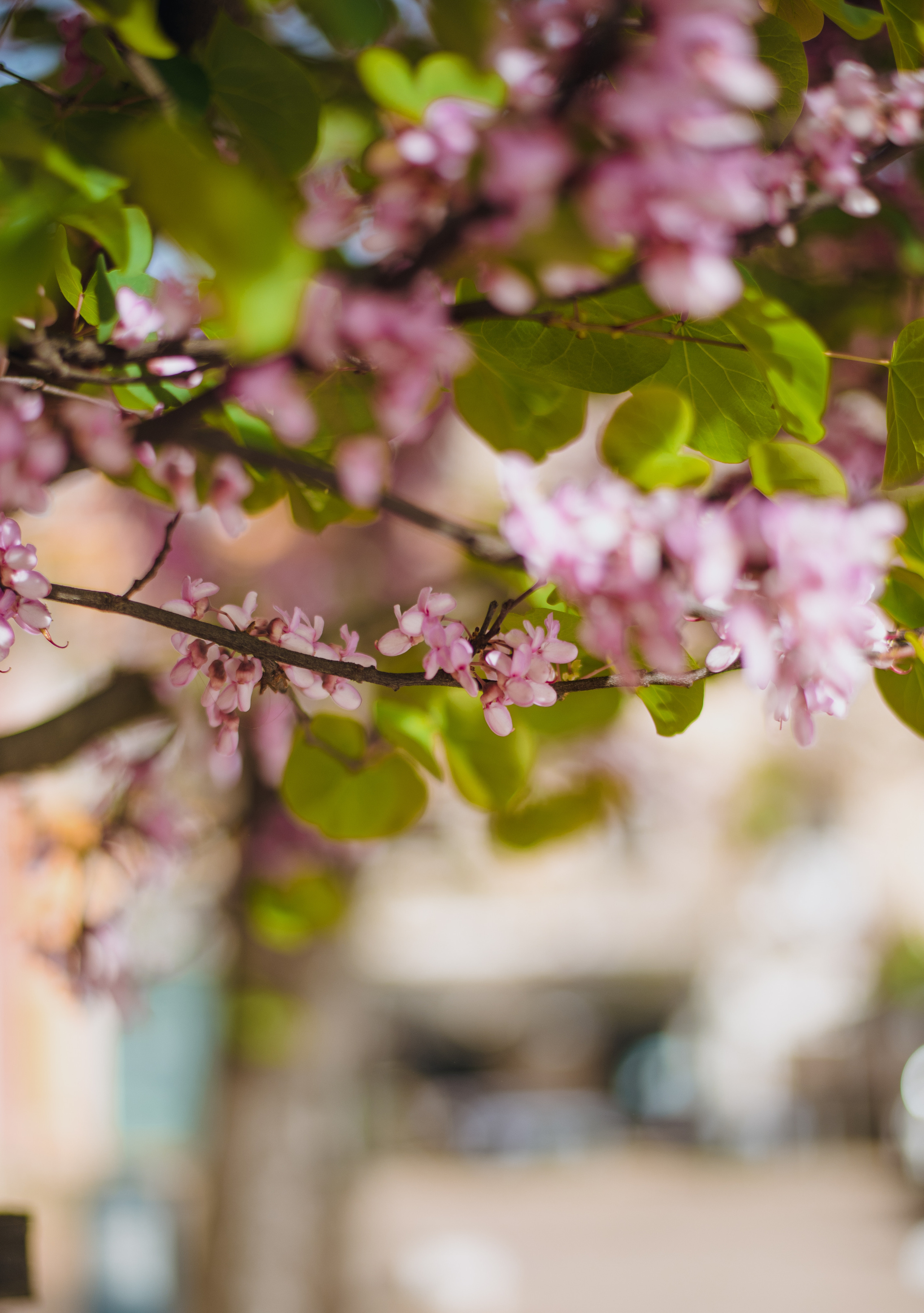 Dora and Ricardo. Lifestyle, wedding and family photographer