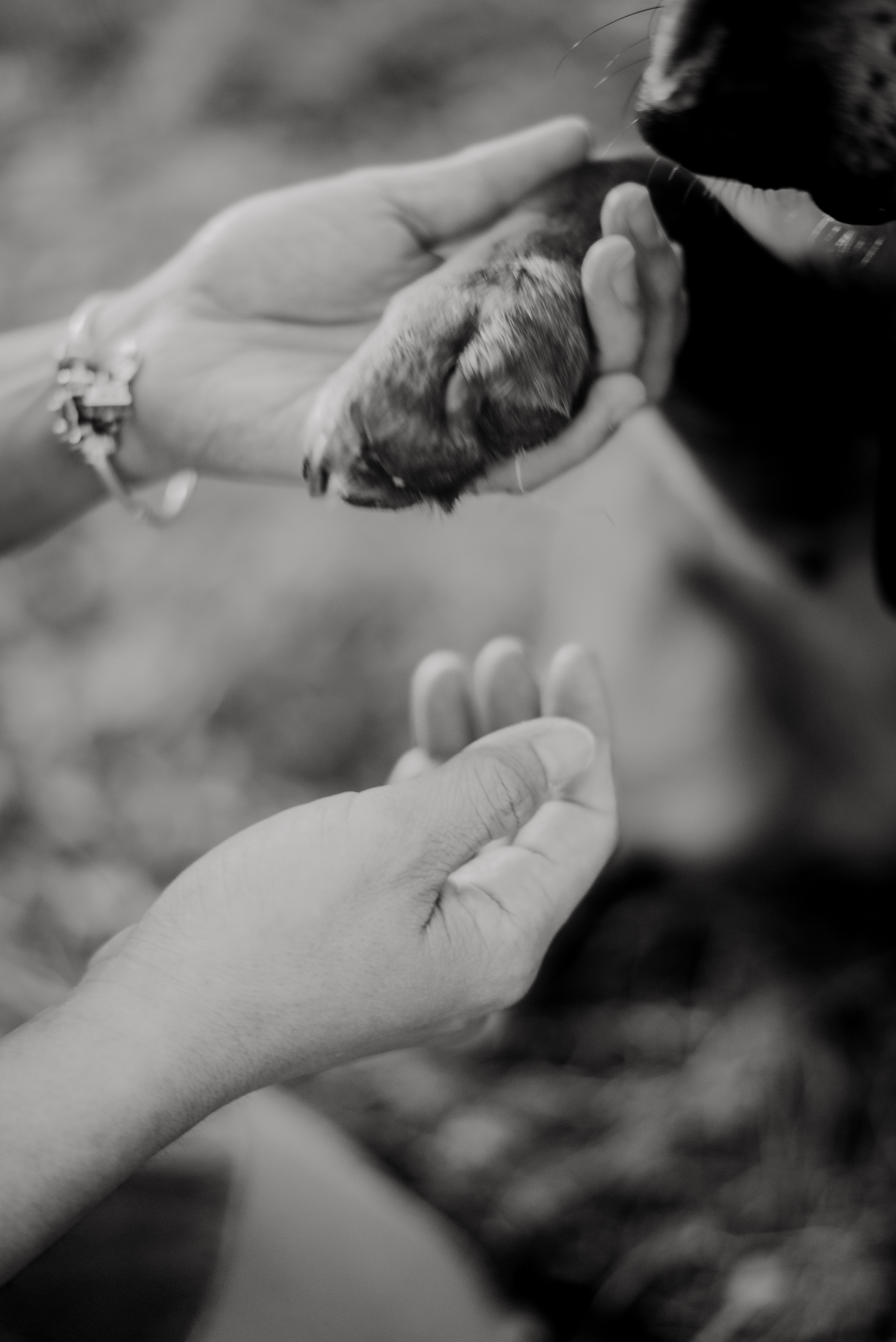 Nali and Pedro. Lifestyle, wedding and family photographer