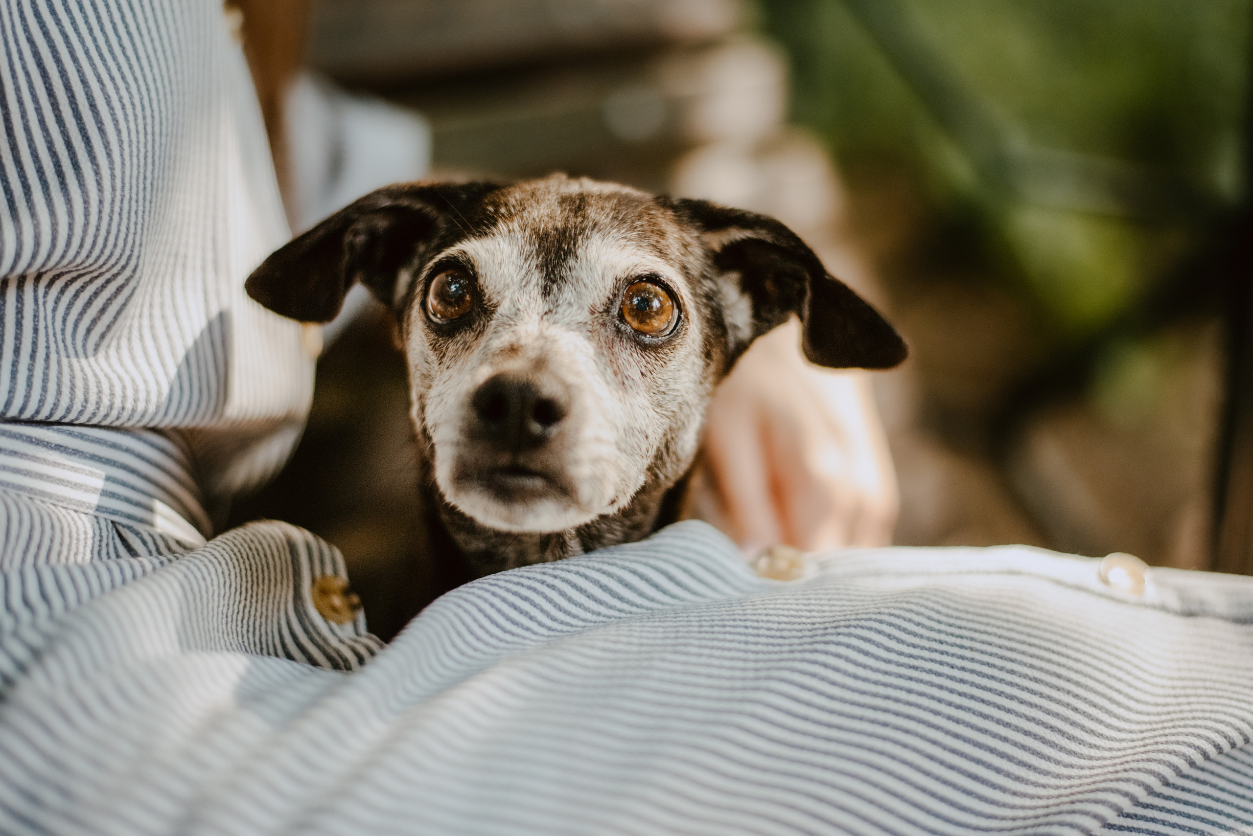 Rhiannon and Sasha. Lifestyle, wedding and family photographer