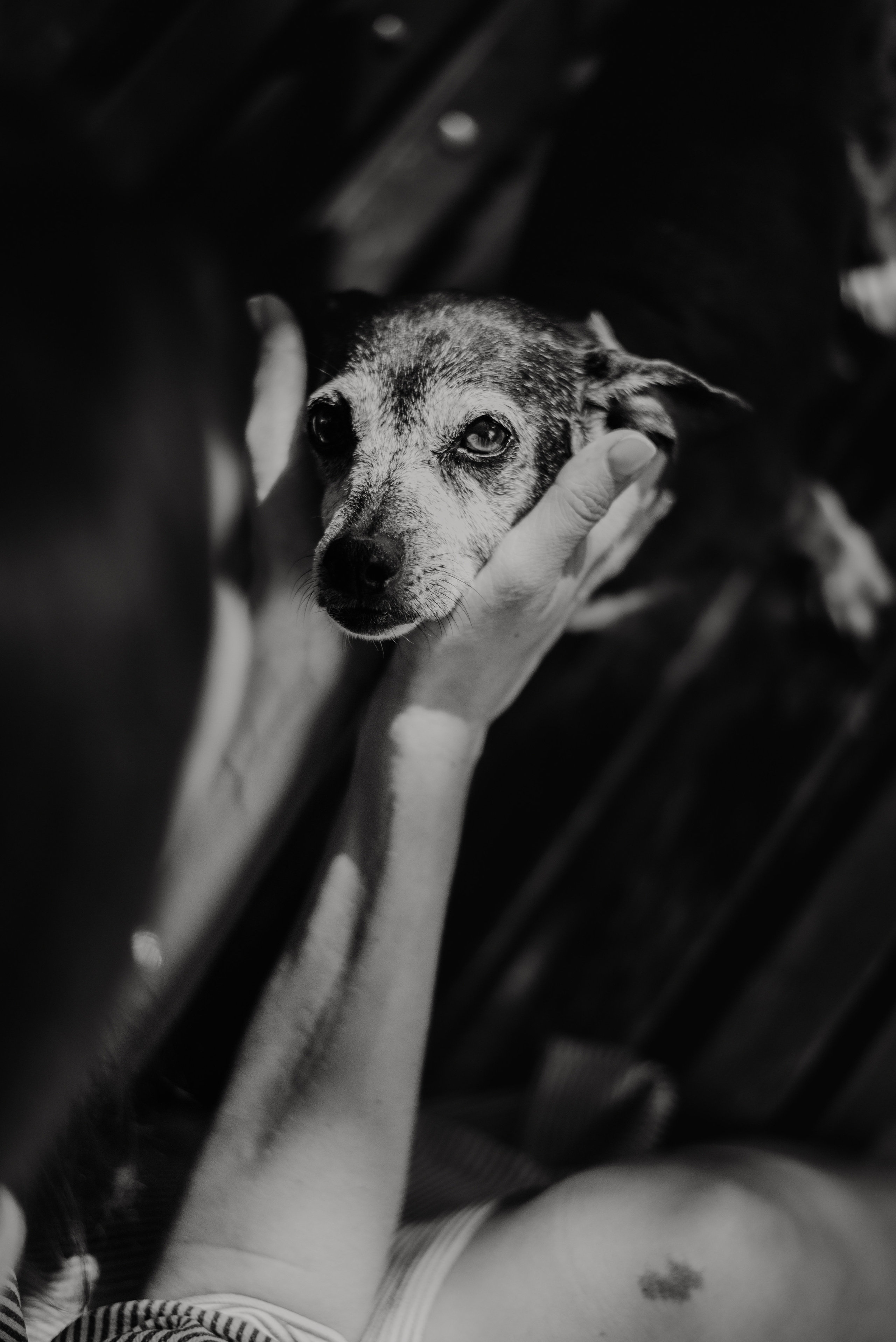 Rhiannon and Sasha. Lifestyle, wedding and family photographer