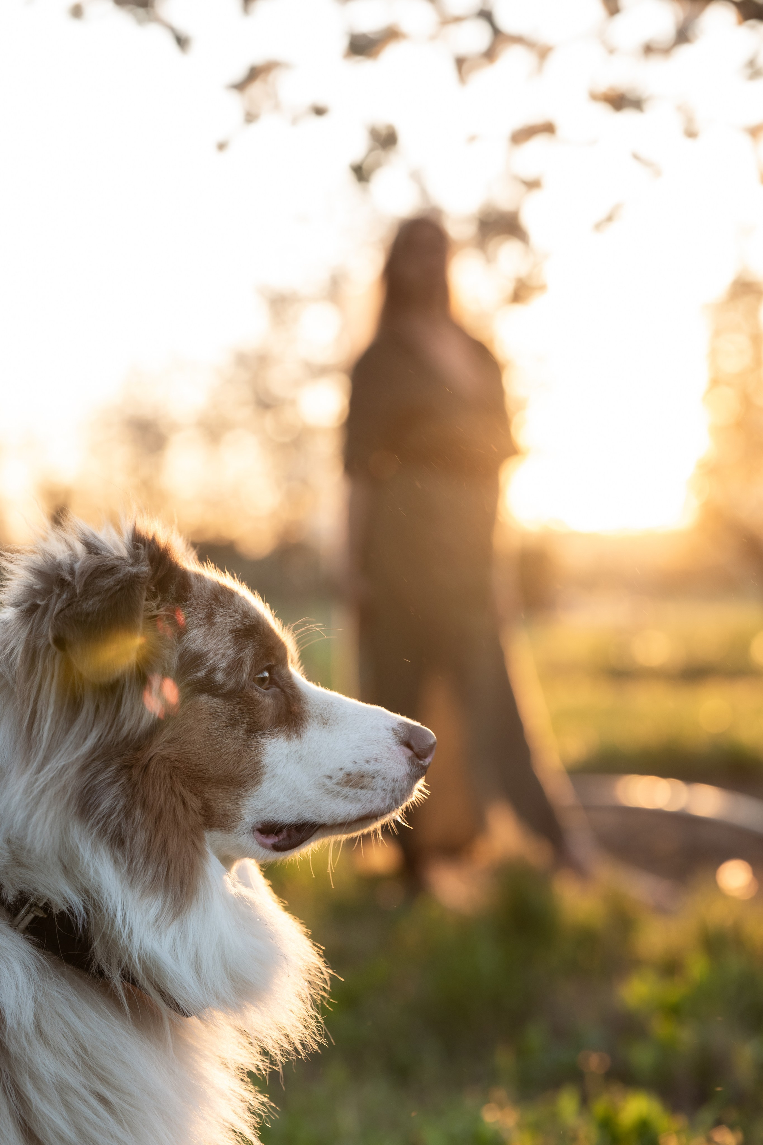 Portfolio. Photographe et retoucheuse des images des produits à Avignon en France