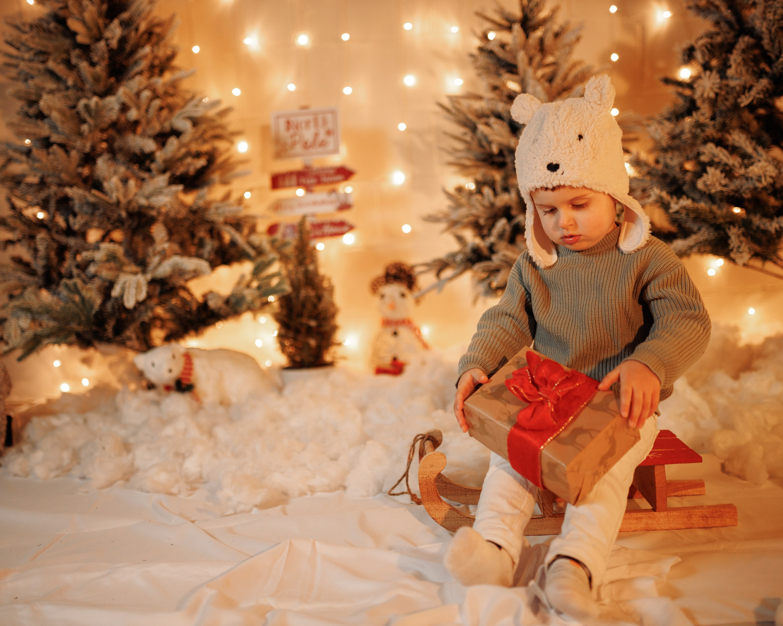 Christmas Time. Https://valphoto.wfolio.pro/