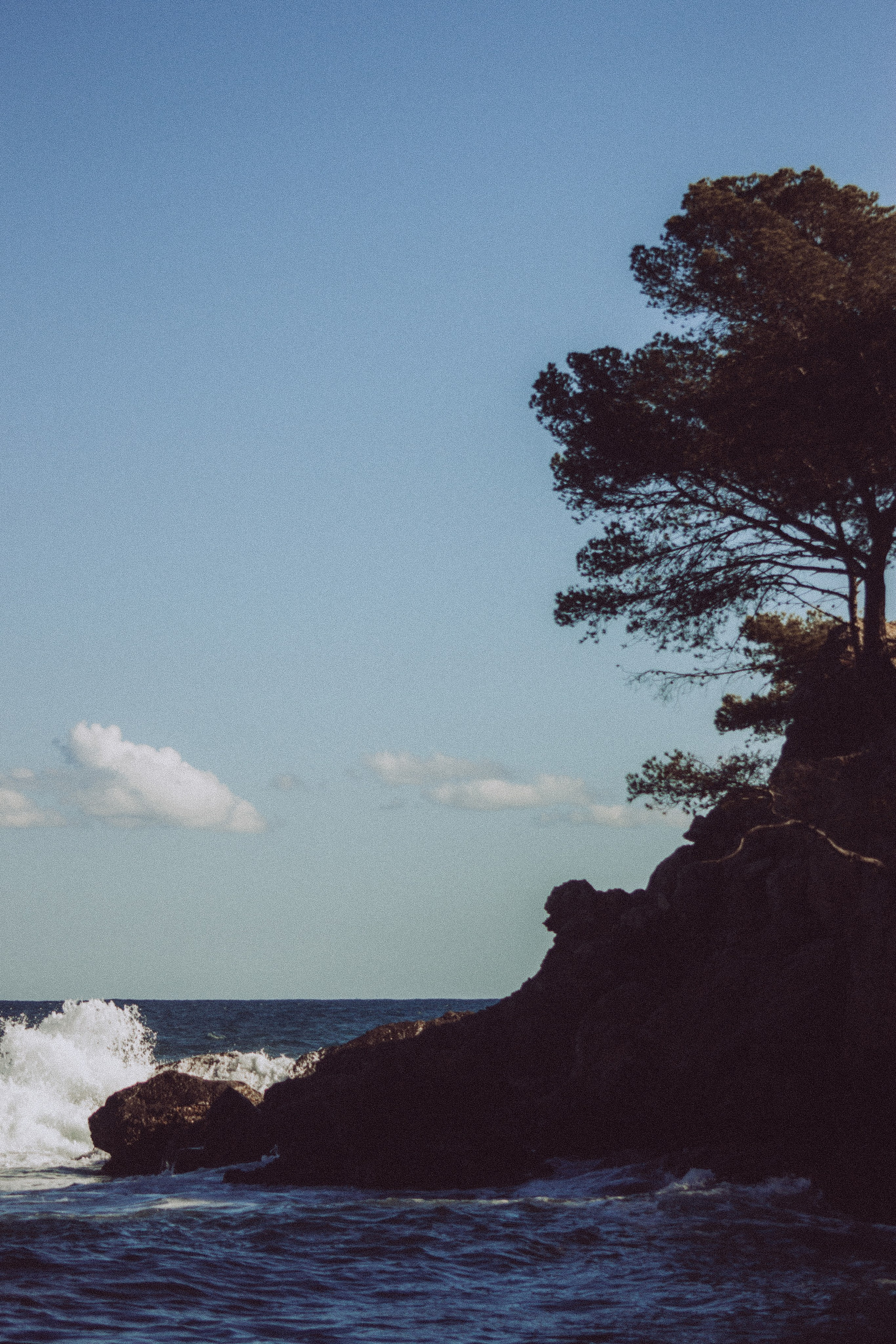 Anse Magaud, Cap Brun, Toulon. Photographe à la Seyne sur Mer, Var
