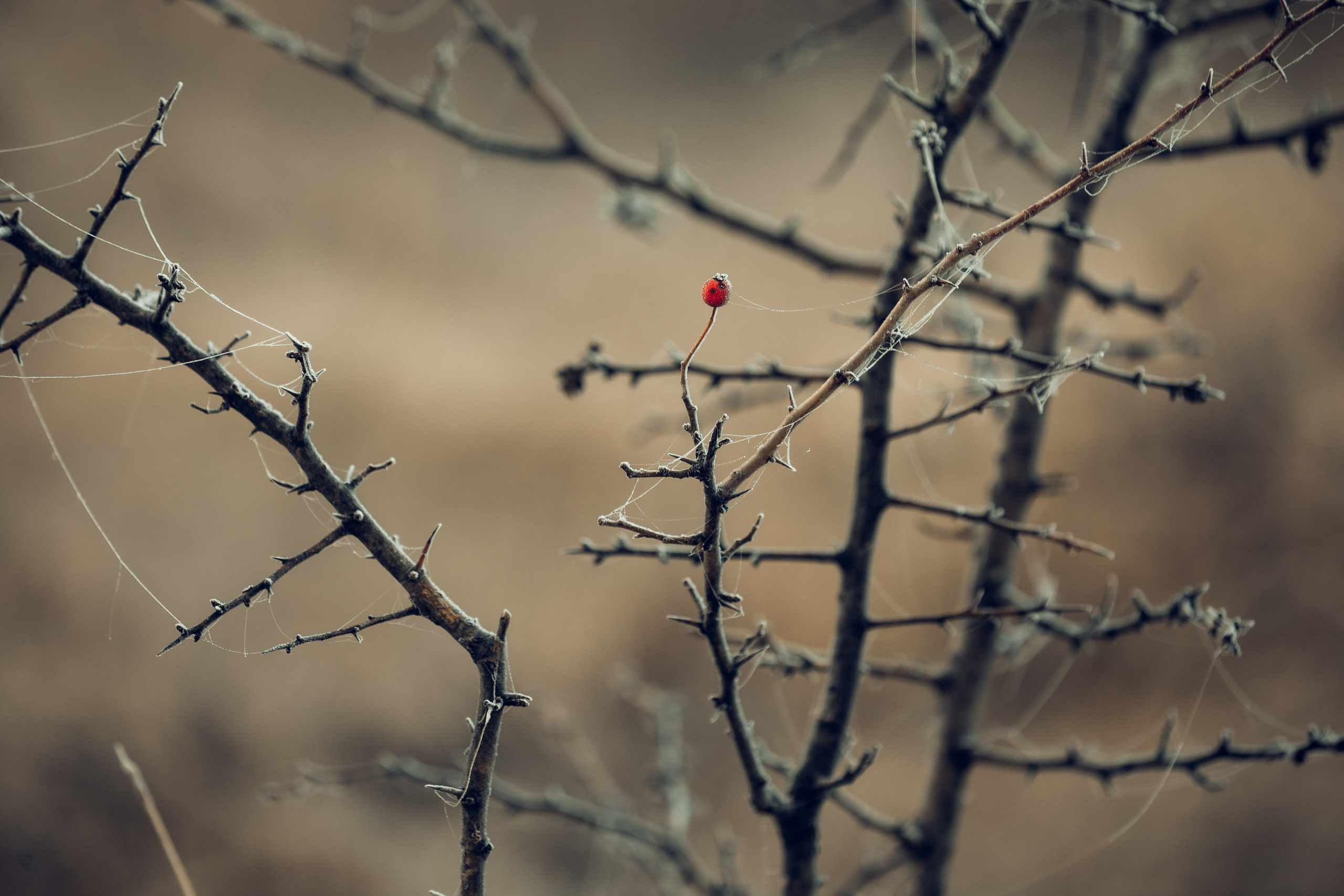 Пейзажная фотография Молдова. Recstudiofilm — Фото видео услуги на свадьбу в Молдове