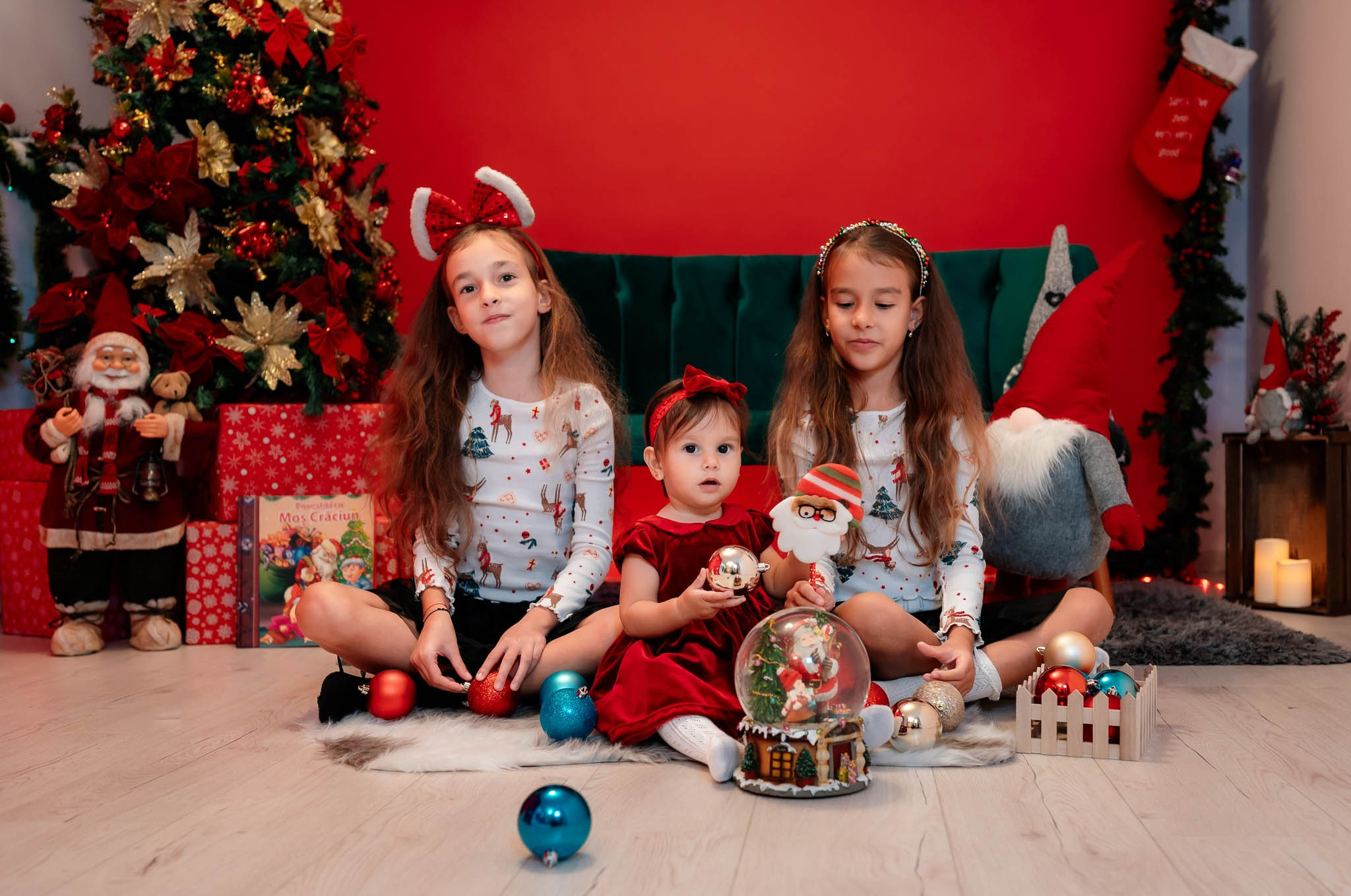 Sedinta Craciun Alina