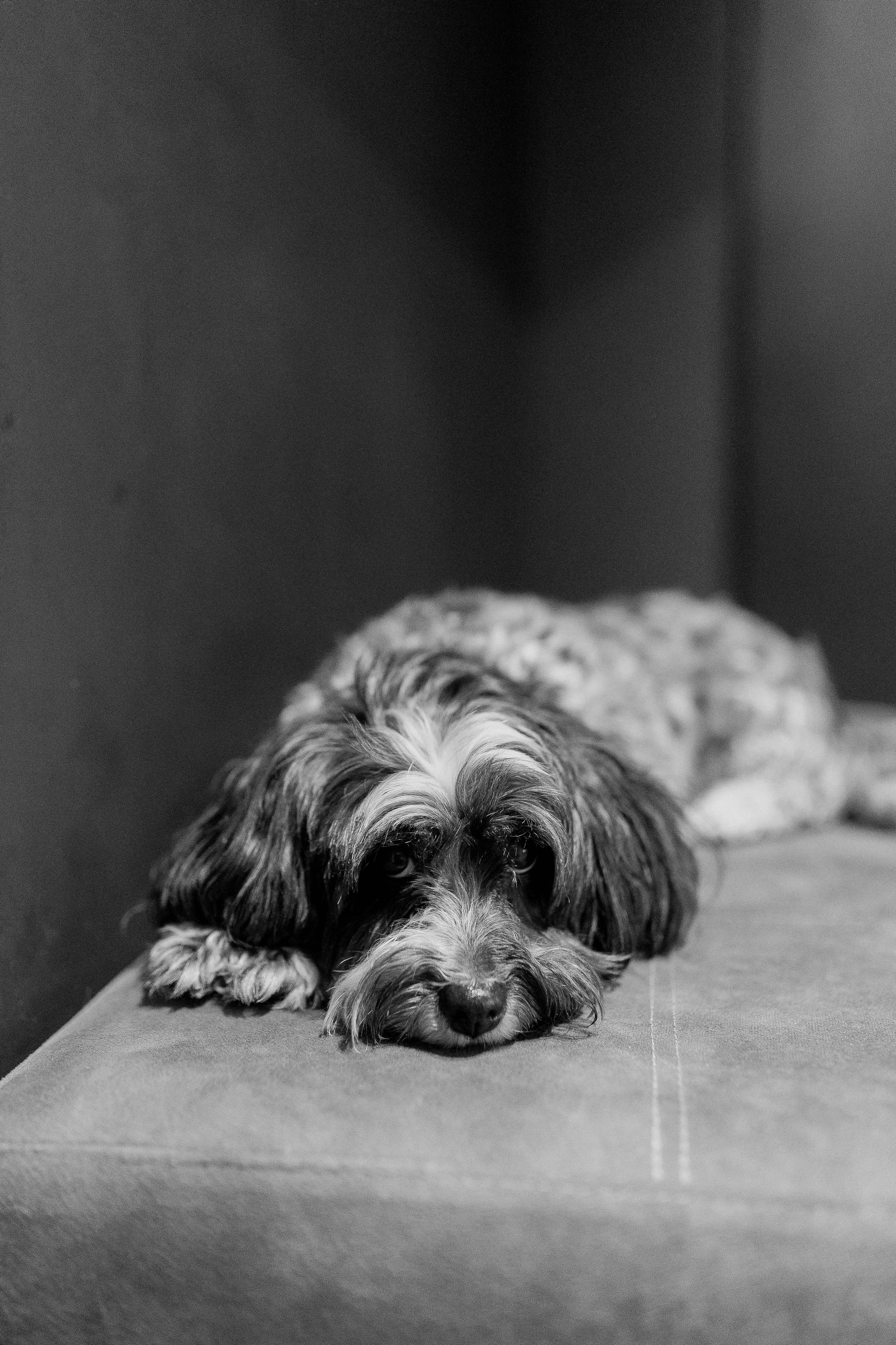 Baptism Zoe. Ionutdraganfoto.com