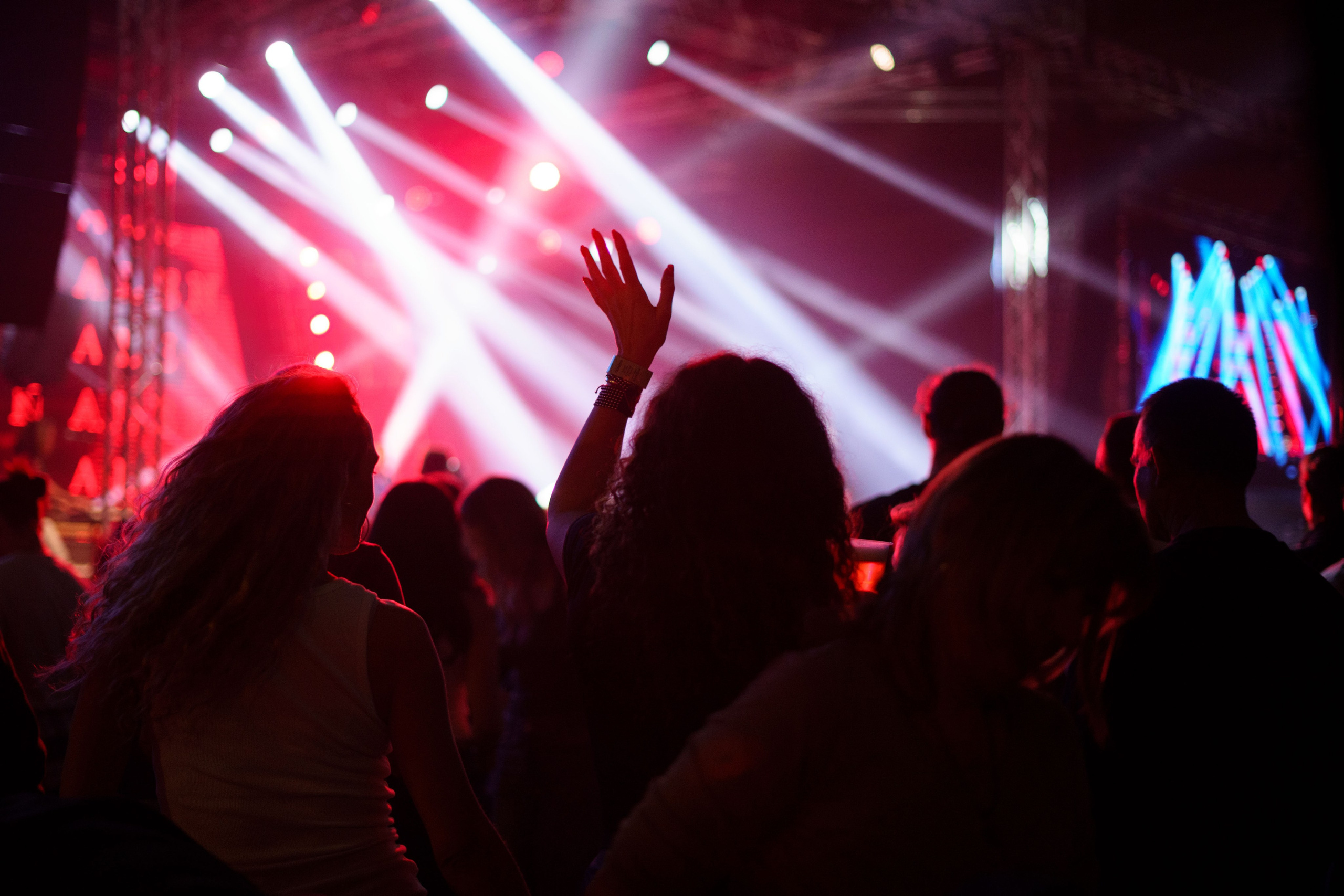 Dani piva u Novom Sadu 2024. Жуков Студио