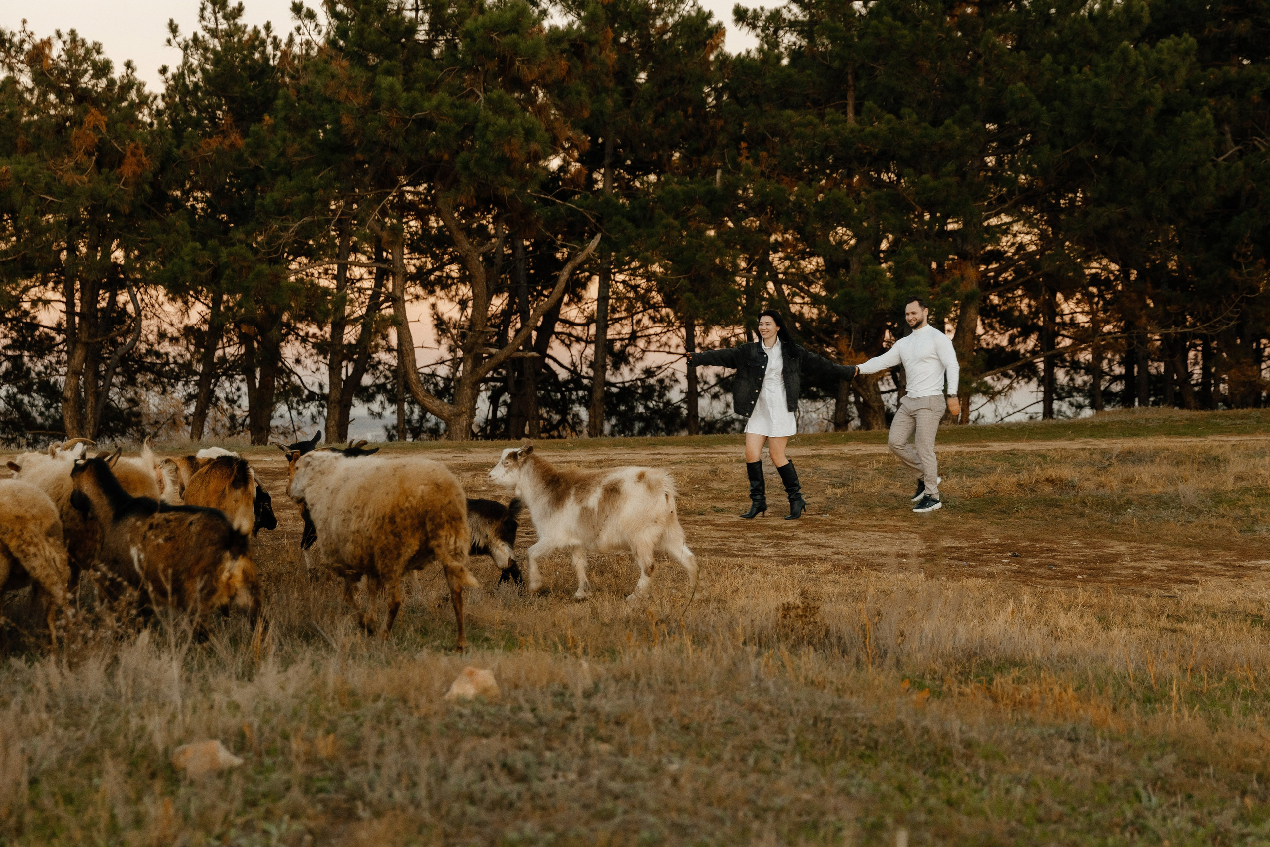 MIHAELA + ANDREI. Fulga Photographer