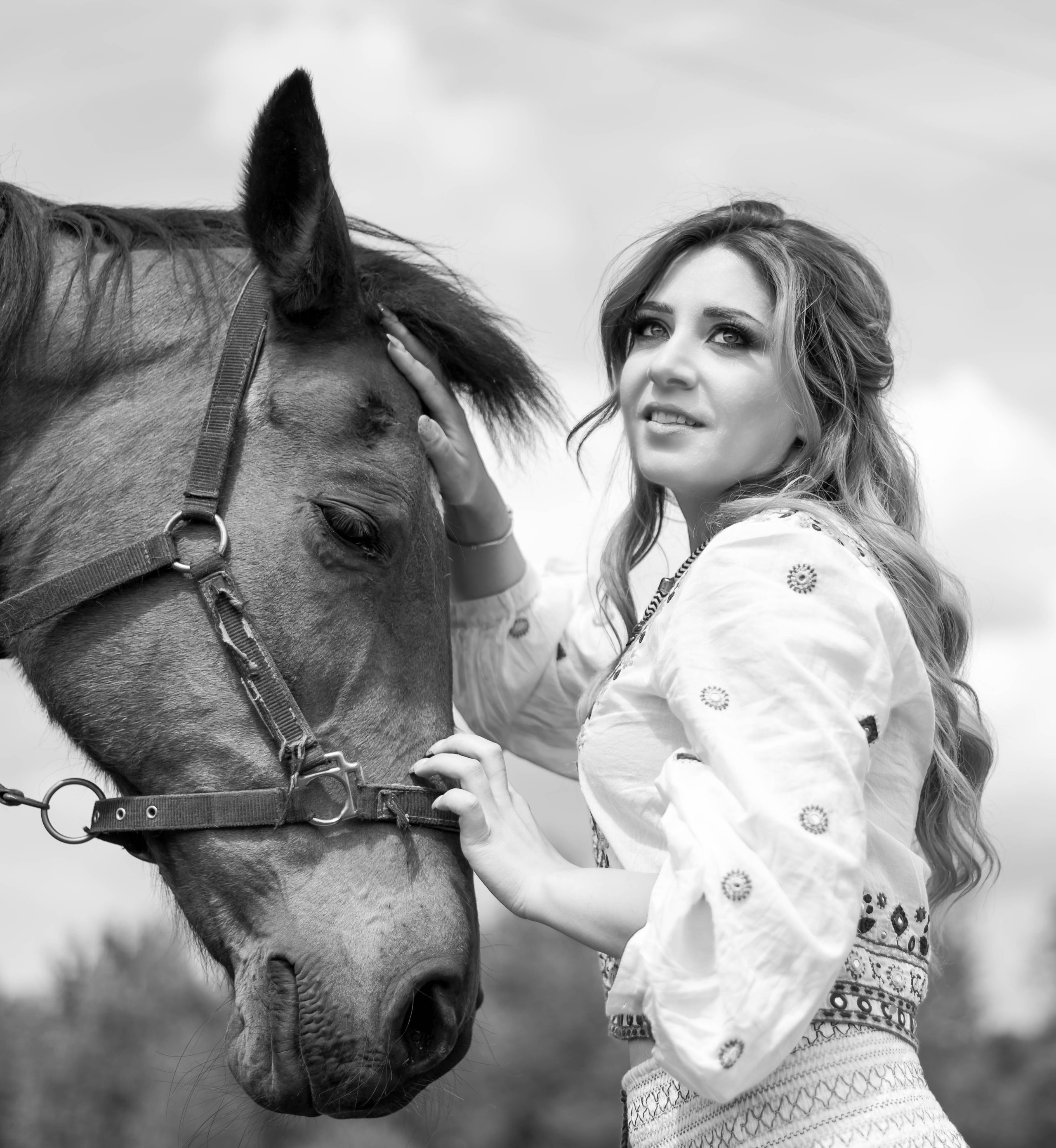 Photoshoot with Horses. Professional Photograher, Antwerpen/Belgium