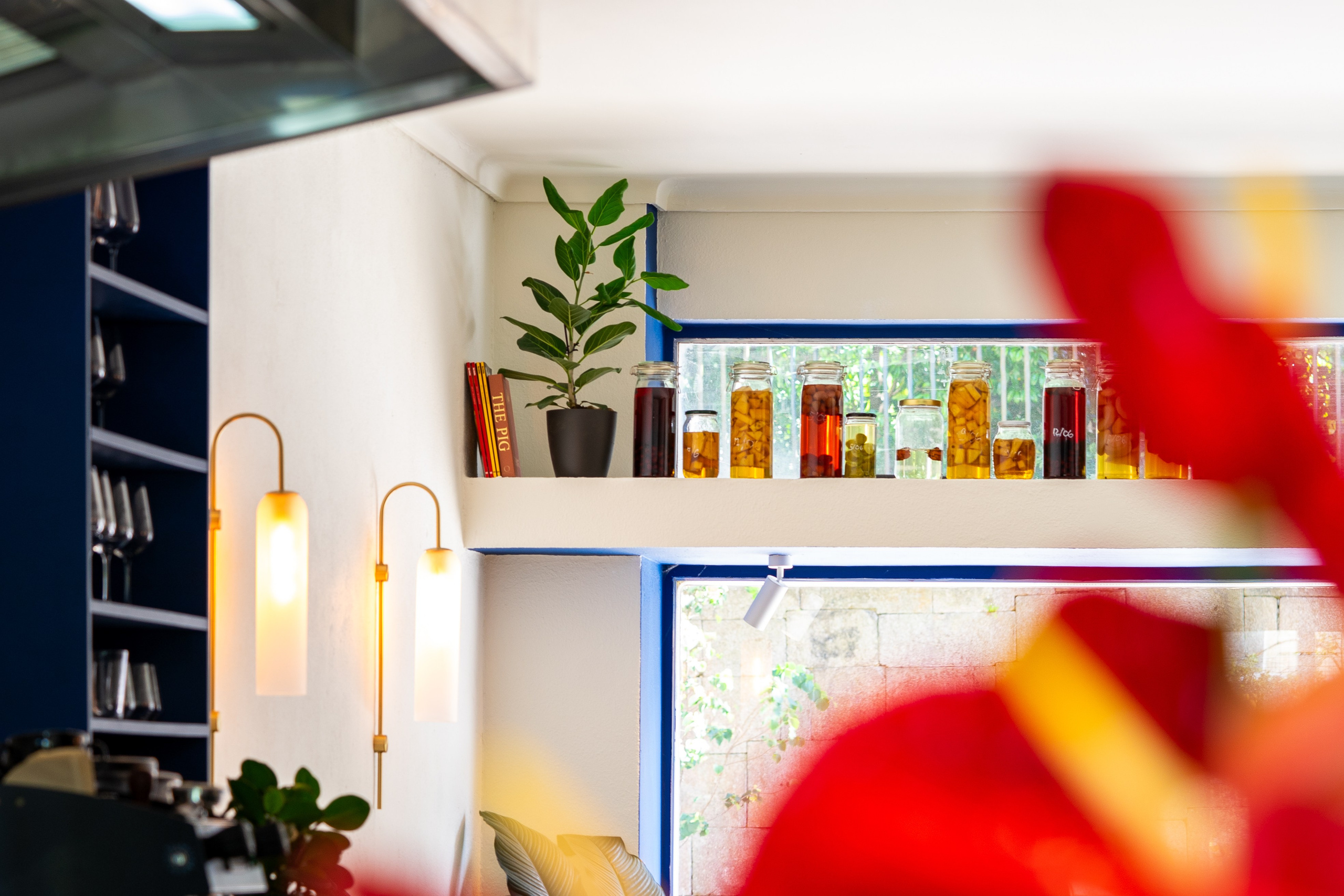 Borboleta. Maria Sher. Fotógrafa profissional do Porto, Portugal