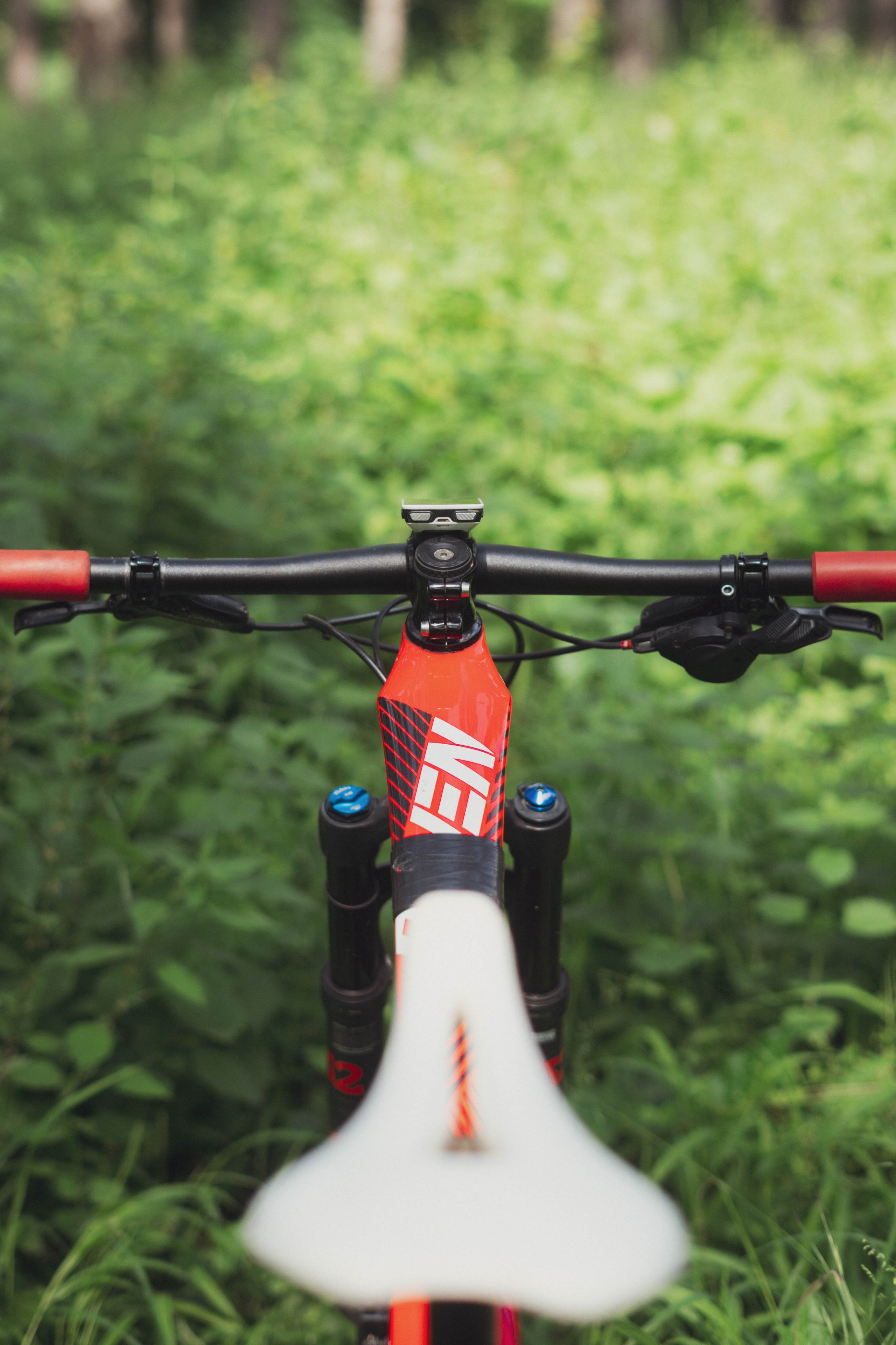 Redbull. Žukov Studio