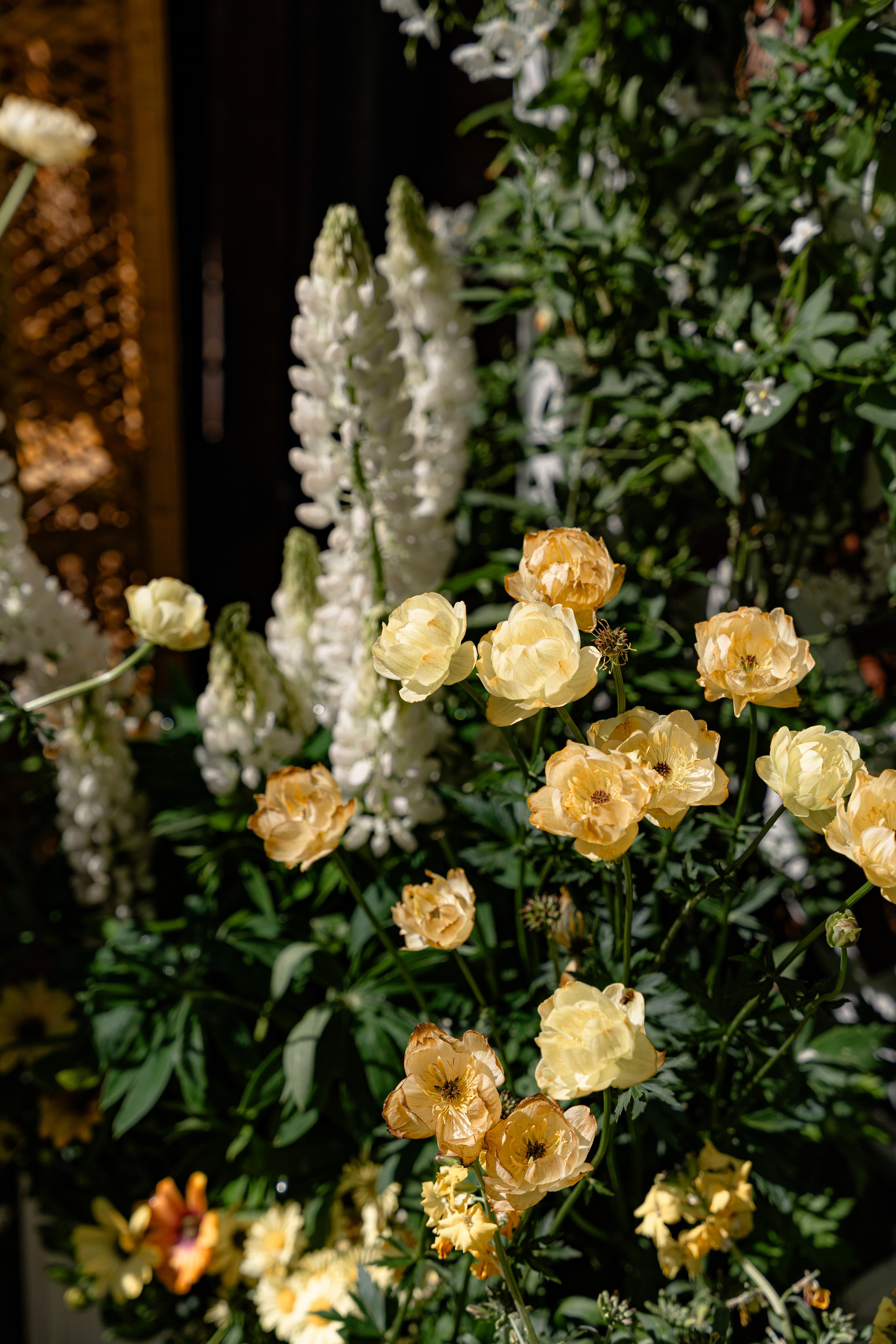 Chelsea_in_bloom. Tonya Kyrylenko photographer in London