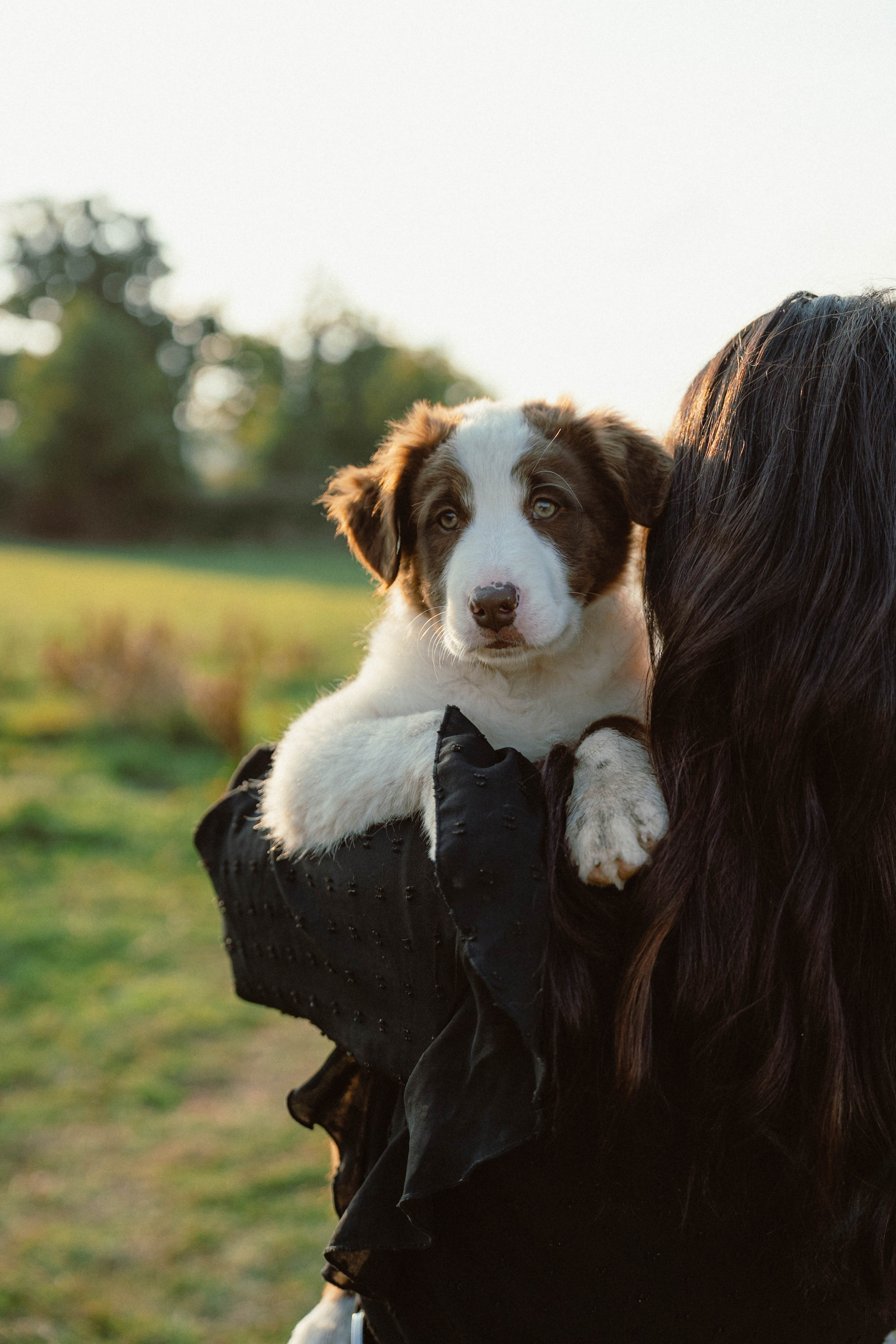 Victoria & Mehdi. Weeding photographer / event / portrait