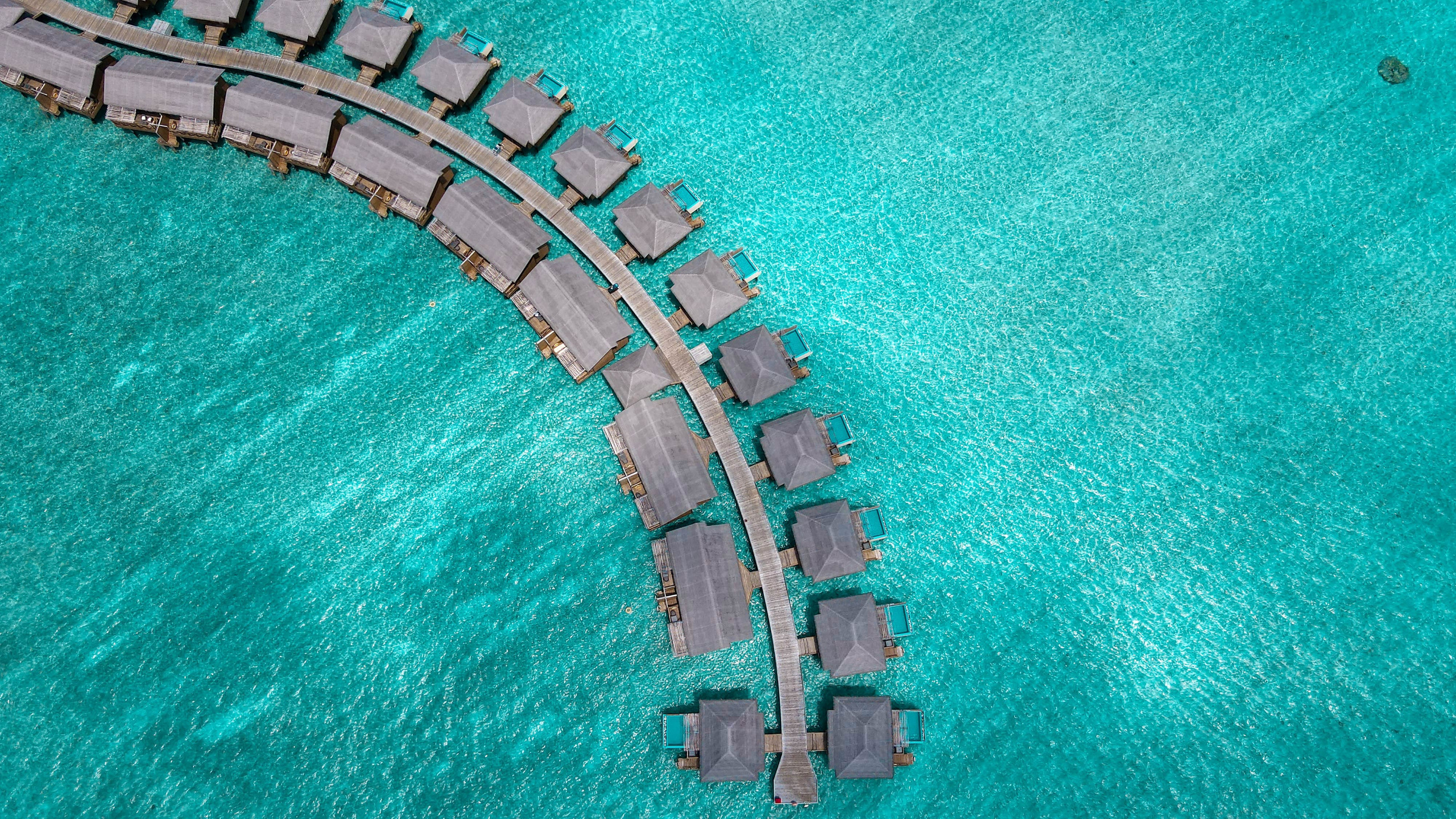 Tatiana Vasilyuk. Photographer in Europe