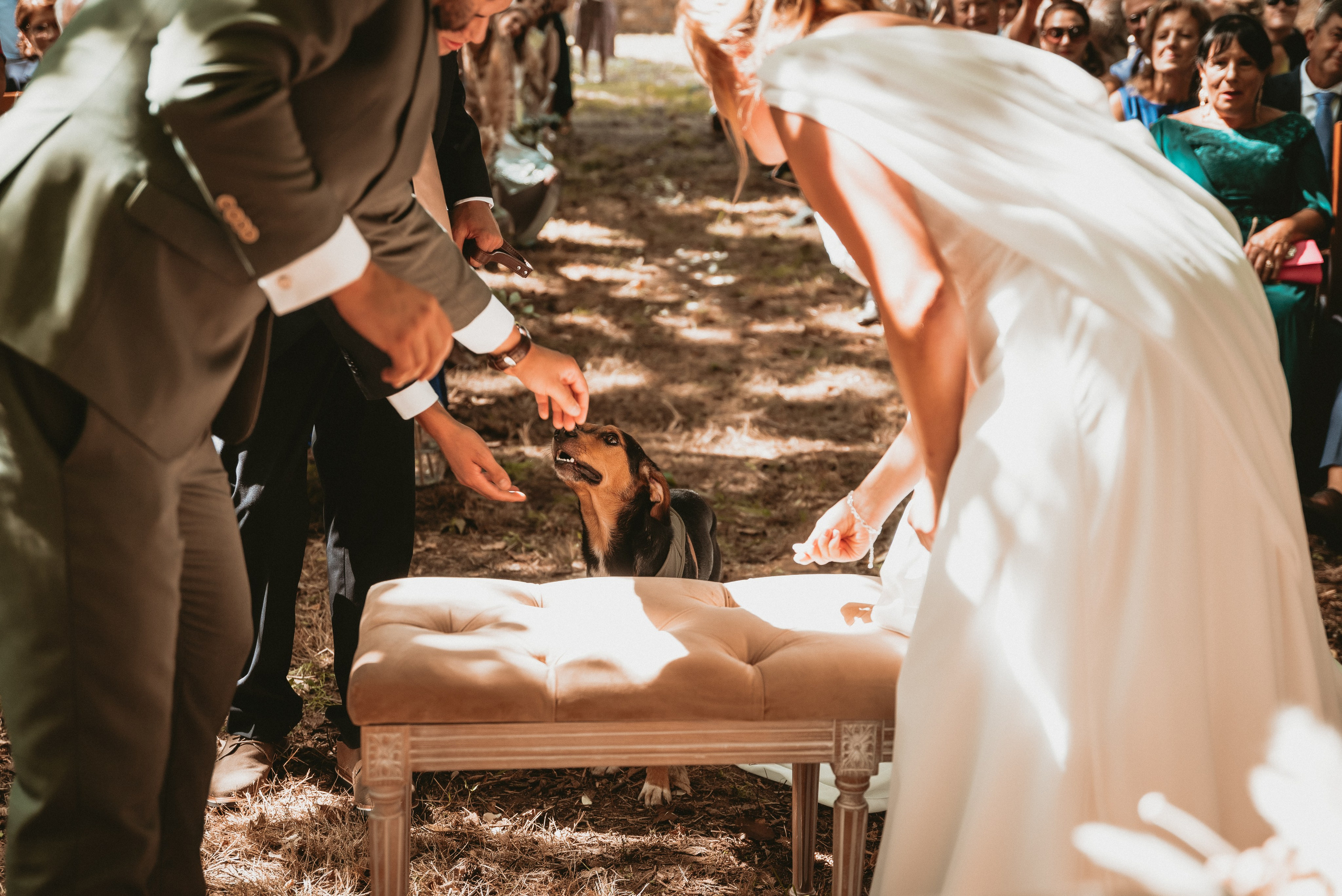 São & Luís. Photographe de mariage et de famille à Braga — Alexandra Mieres Photography