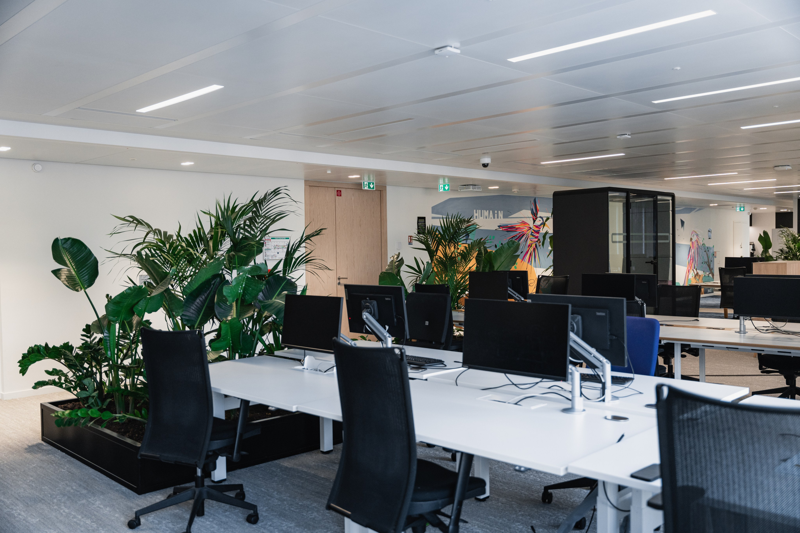 Office. Photographer in Paris — Vitalii Motruk