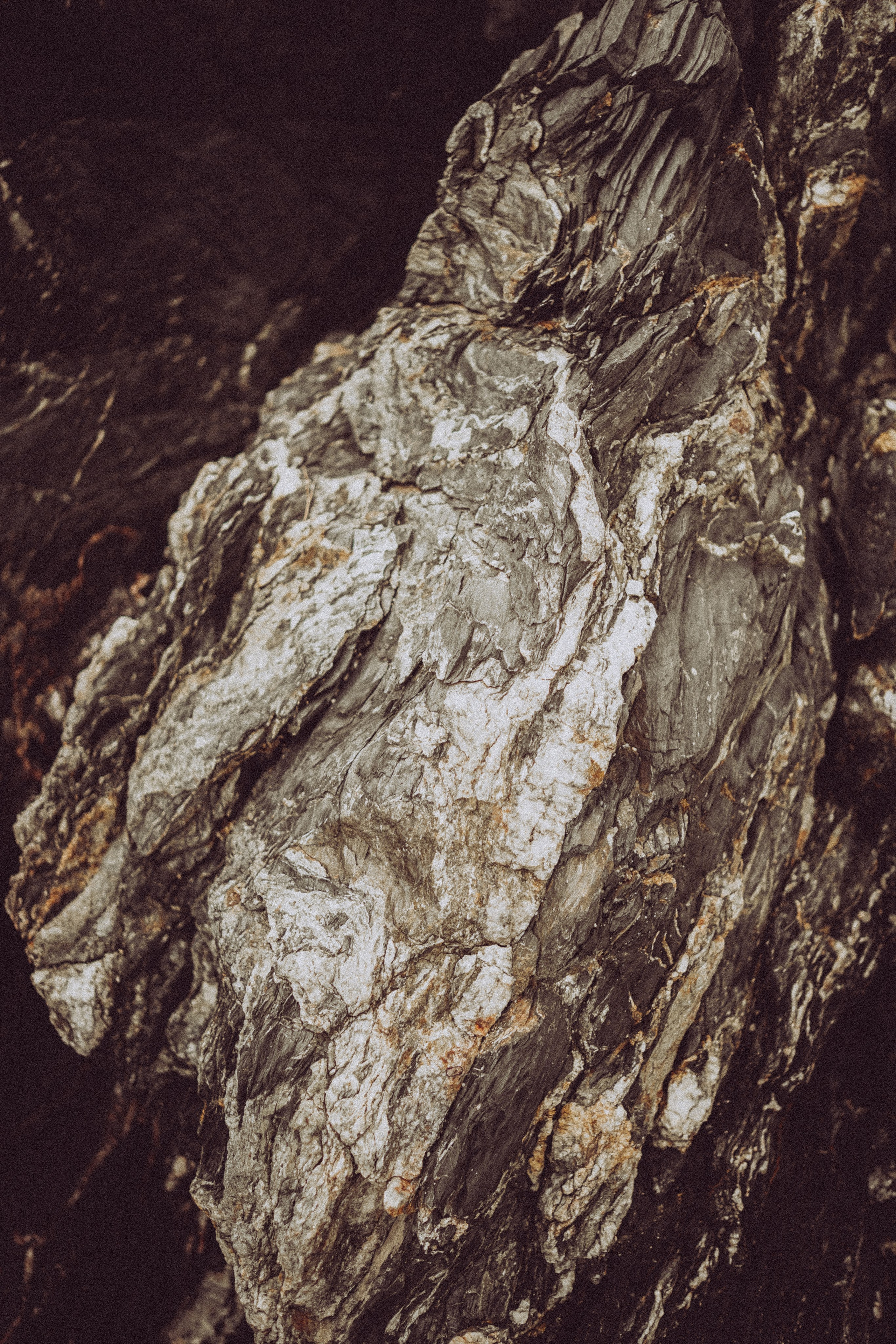Massif du Cap-Sicié: plages de St.Selon, Jonquet, Boeuf. Photographe à la Seyne sur Mer, Var