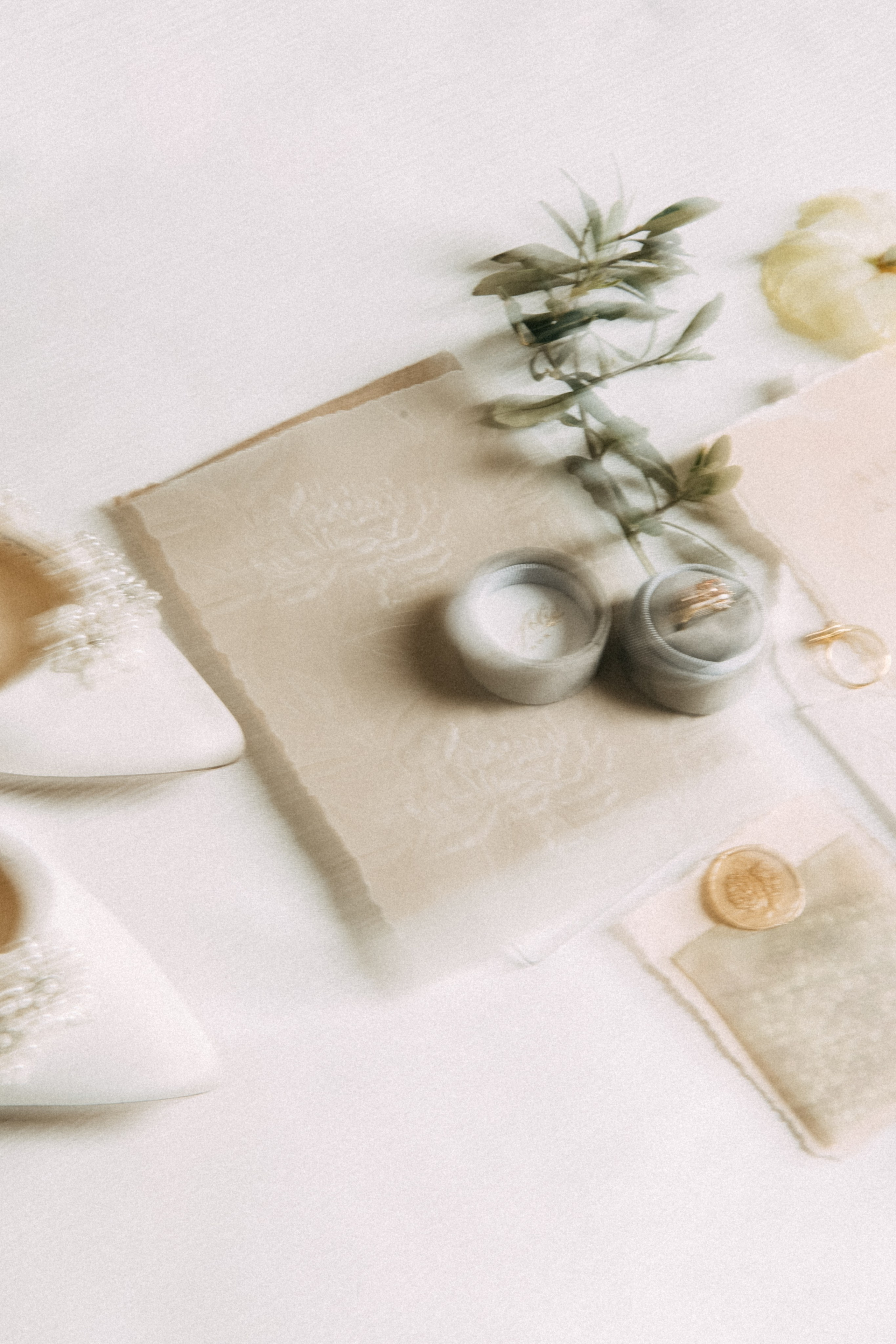 Alyssa&Sean. Весільний фотограф Вікторія Саврук